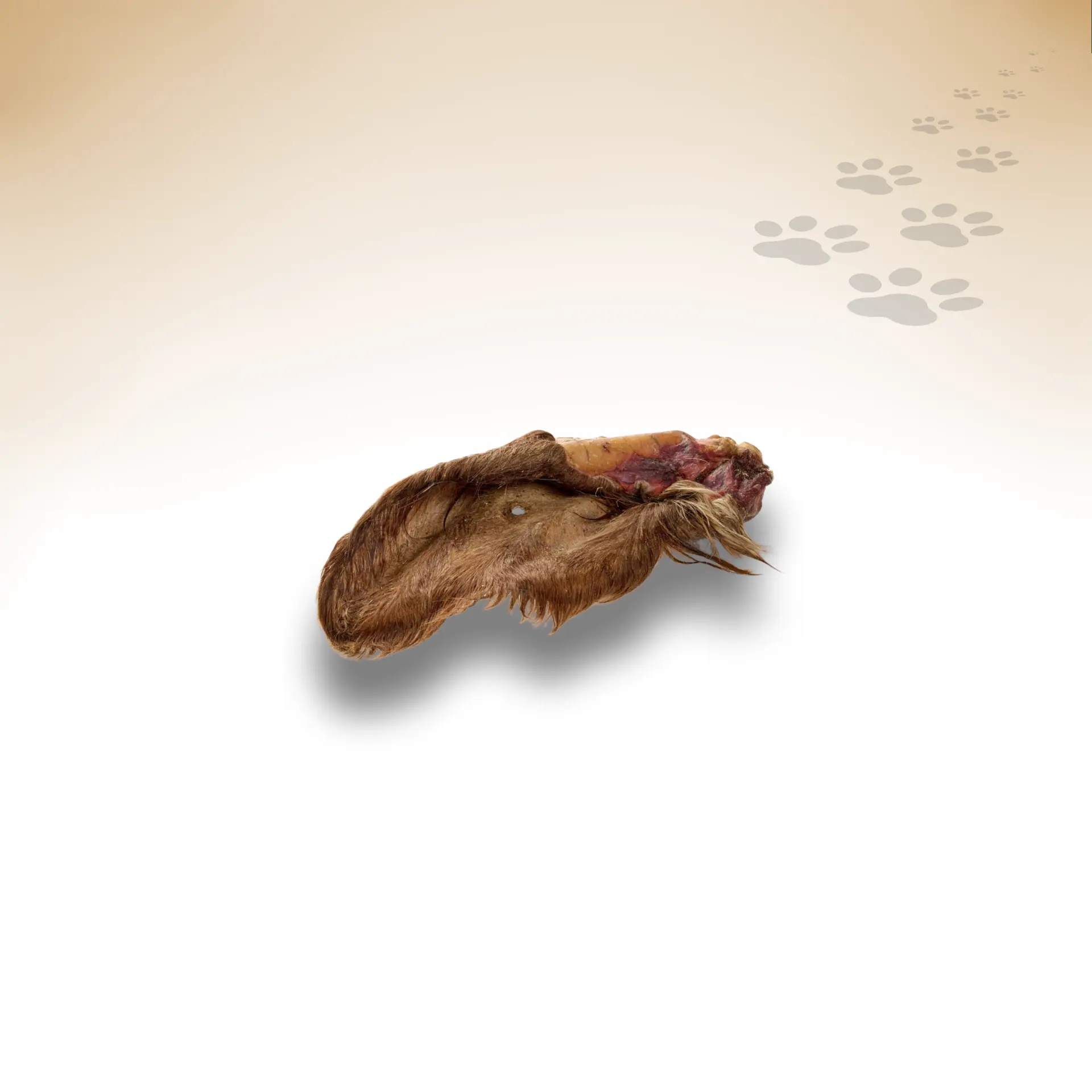 Rinder-Ohren-Fell_96956_1920x1920_03 Rinder-Ohren-Fell_96956_1920x1920_03