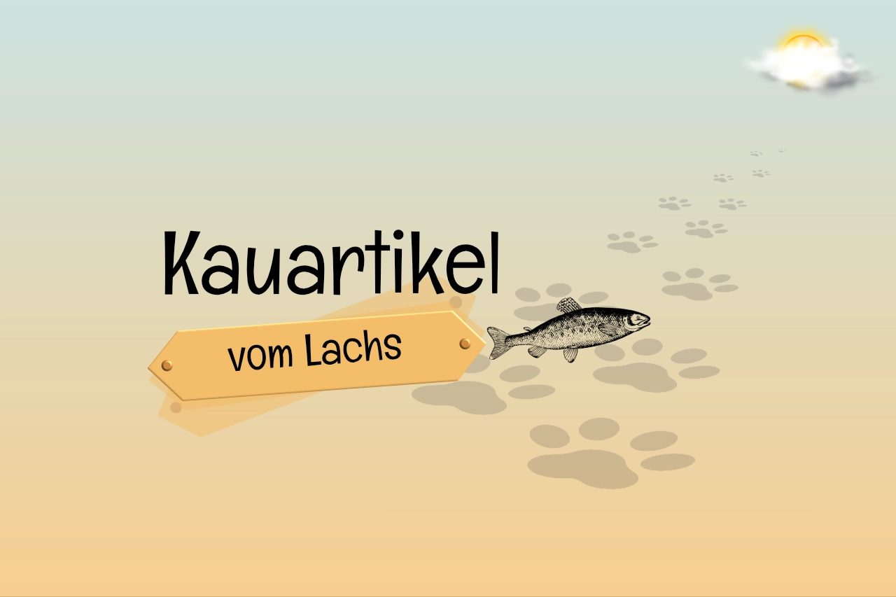 Kauartikel vom Lachs - natürlich reich an Omega 3