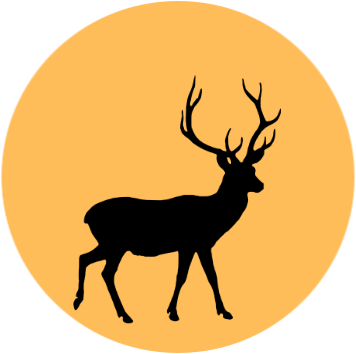 Hirsch