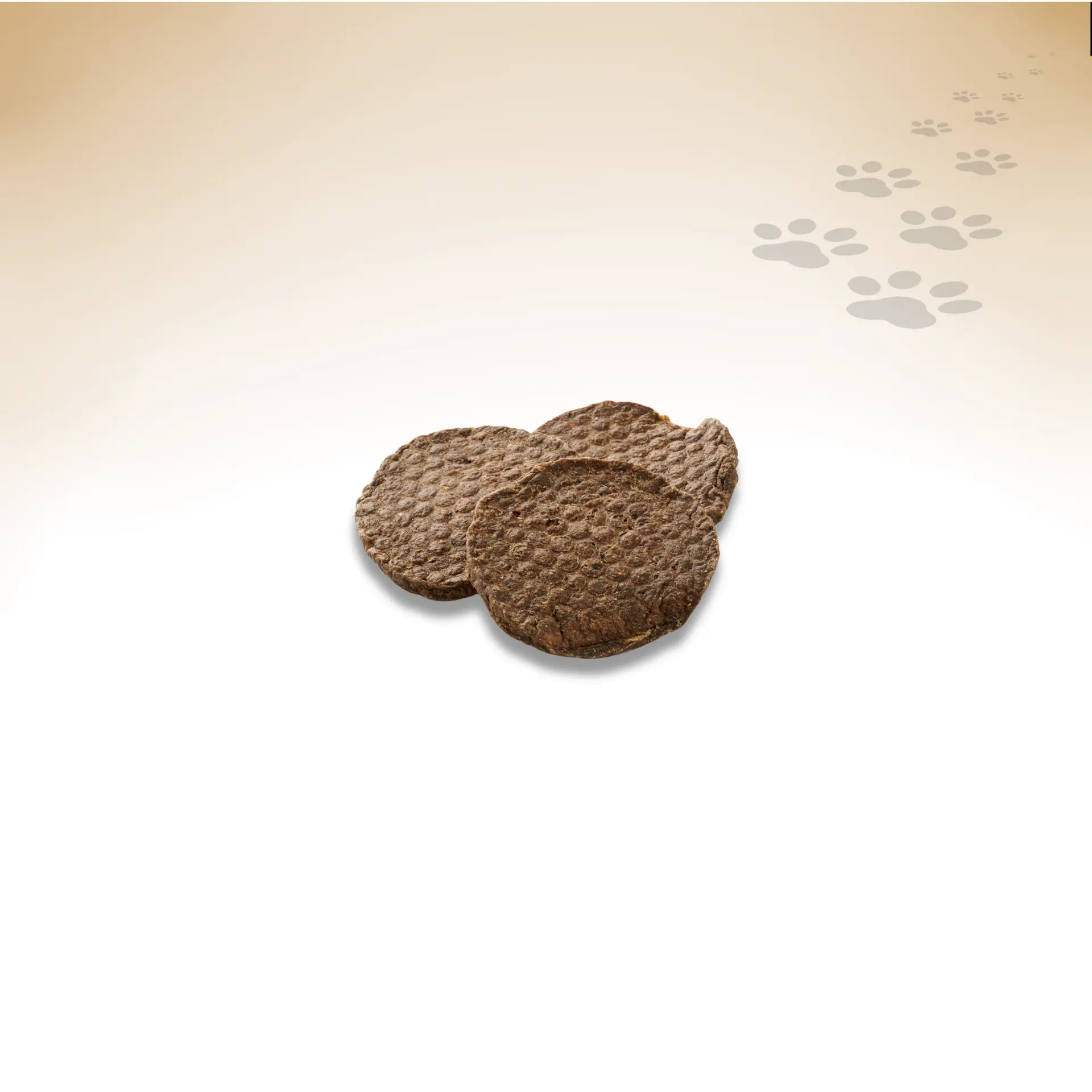 Rinder-Burger_92397_1920x1920_01 Rinder-Burger_92397_1920x1920_01