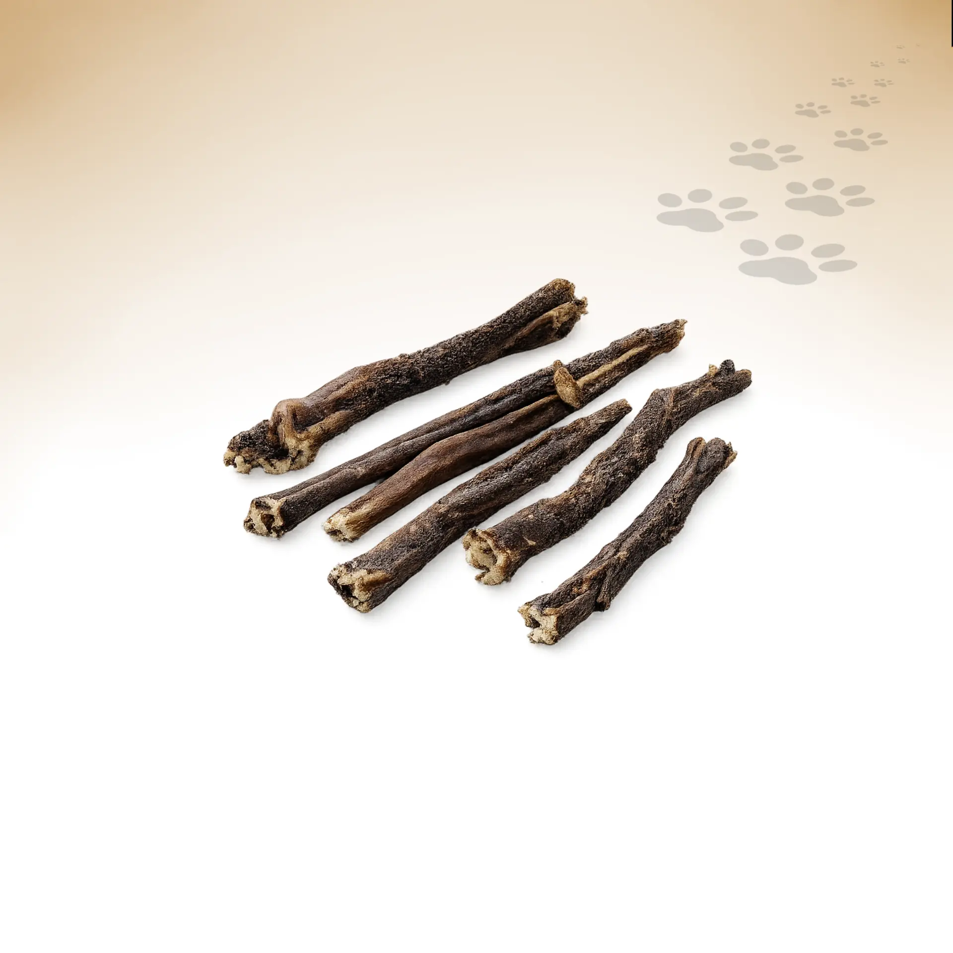 Rinder-Pansen-lang_97151_1920x1920_02