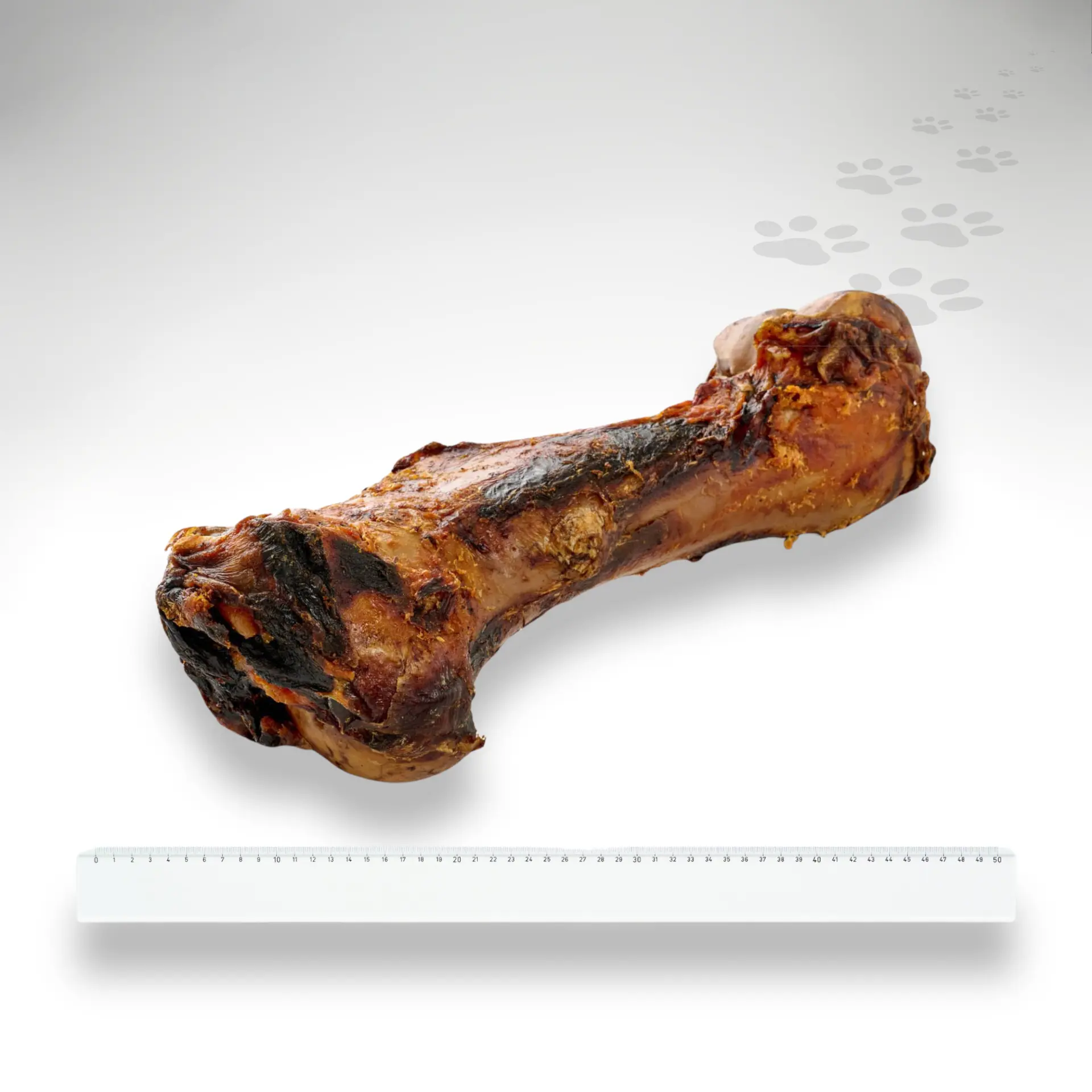 XXL Jumboknochen Pferd Größenvergleich Pferde Jumboknochen XXL mit Größenvergleich