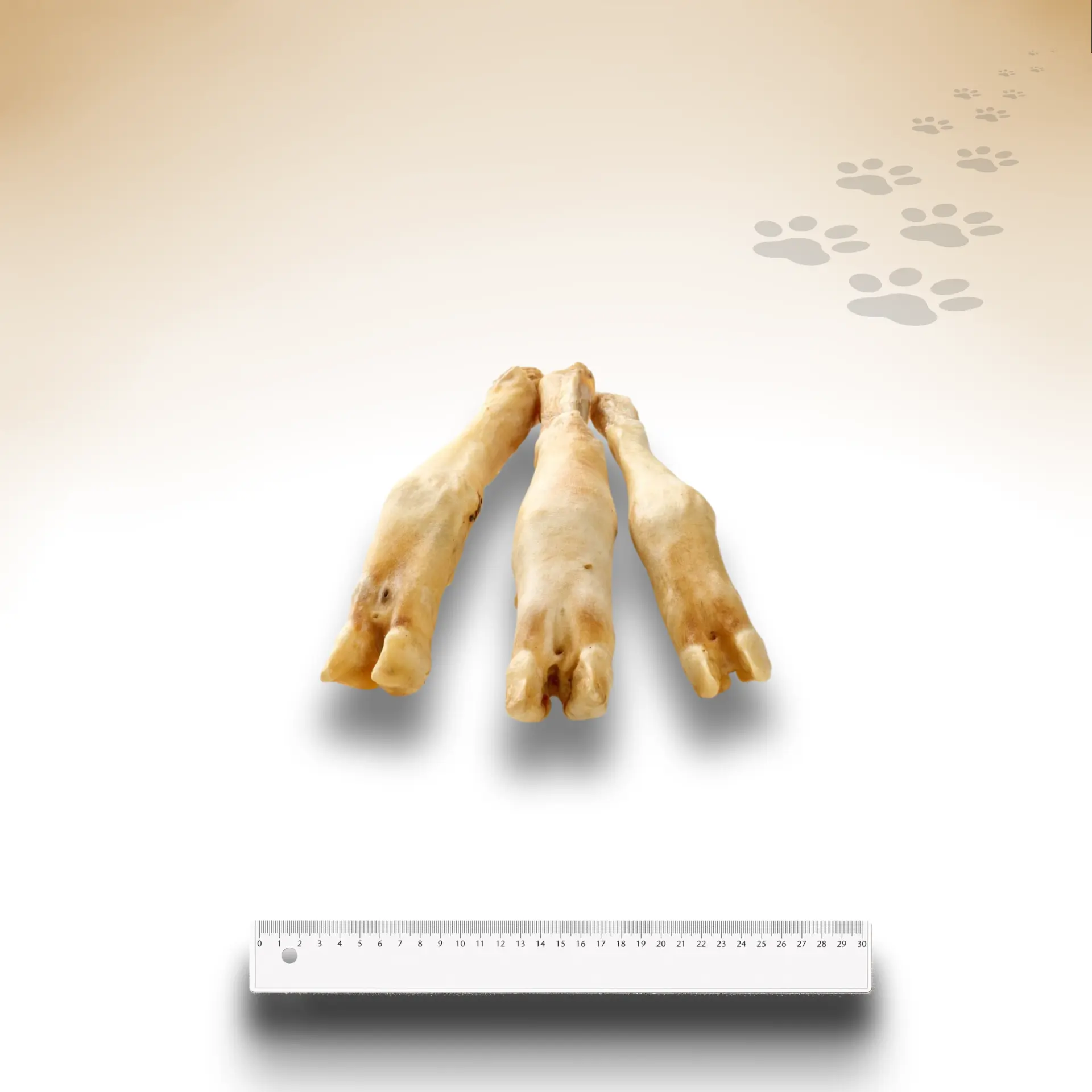 Lamm-Unterbein_35295_1920x1920_02