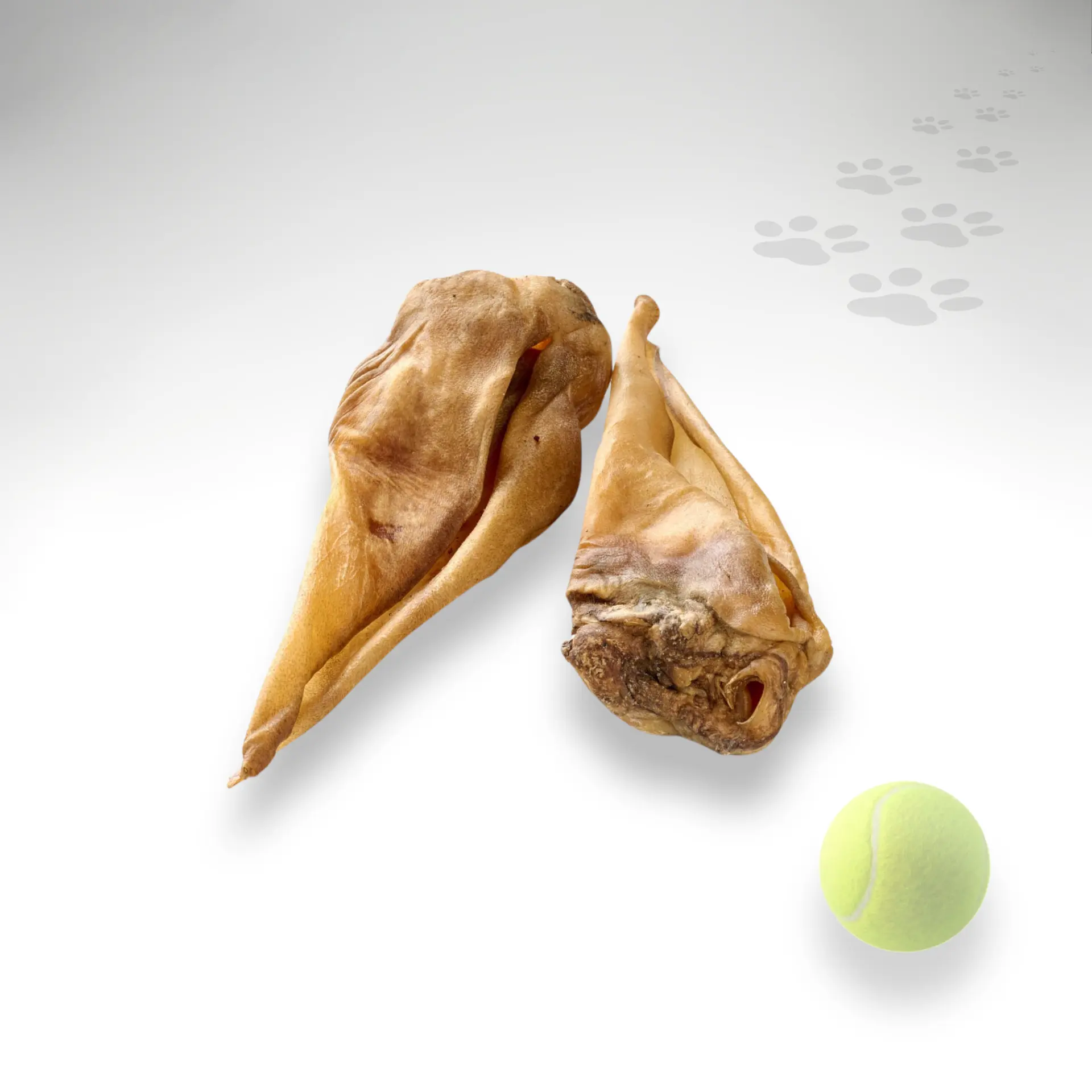 Übersicht getrocknete Pferdeohren ohne Fell Getrocknete Pferdeohren ohne Fell mit Größenorientierung