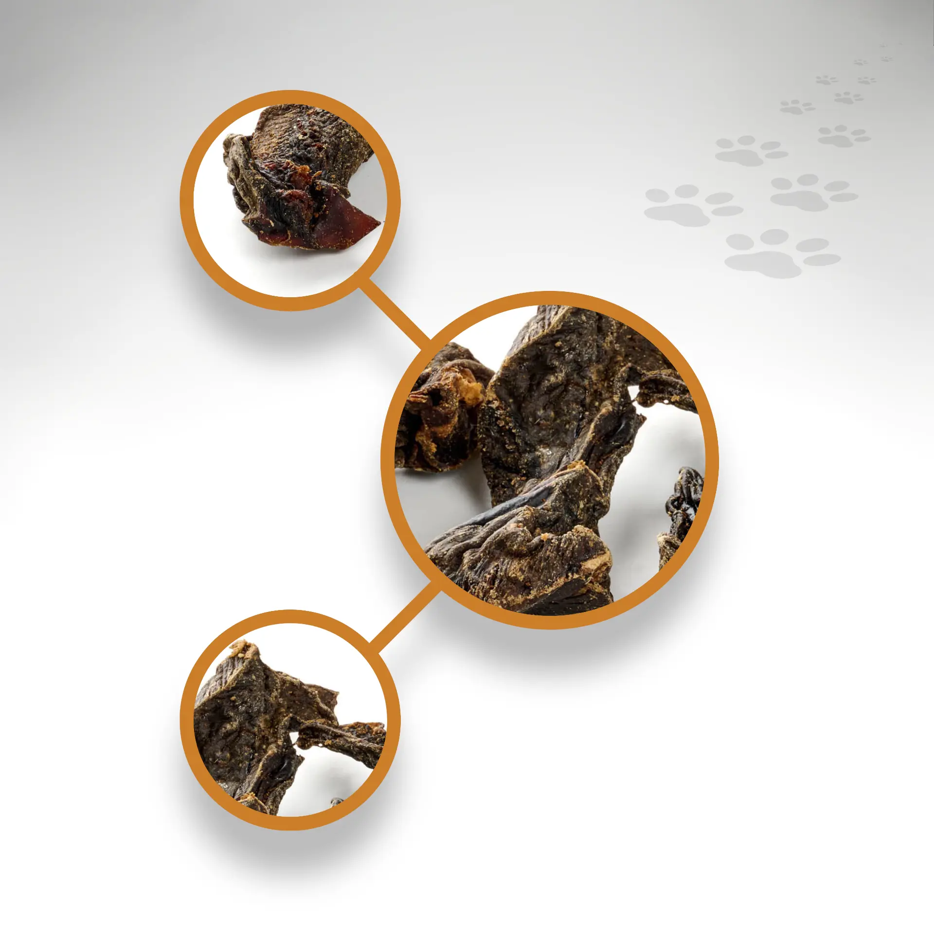 Pferdeherz getrocknet Detailansichten Detailansichten getrocknetes Pferdeherz