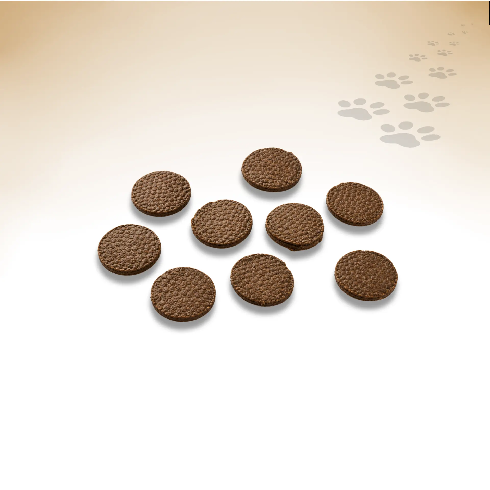 Rinder-Burger_92397_1920x1920_02