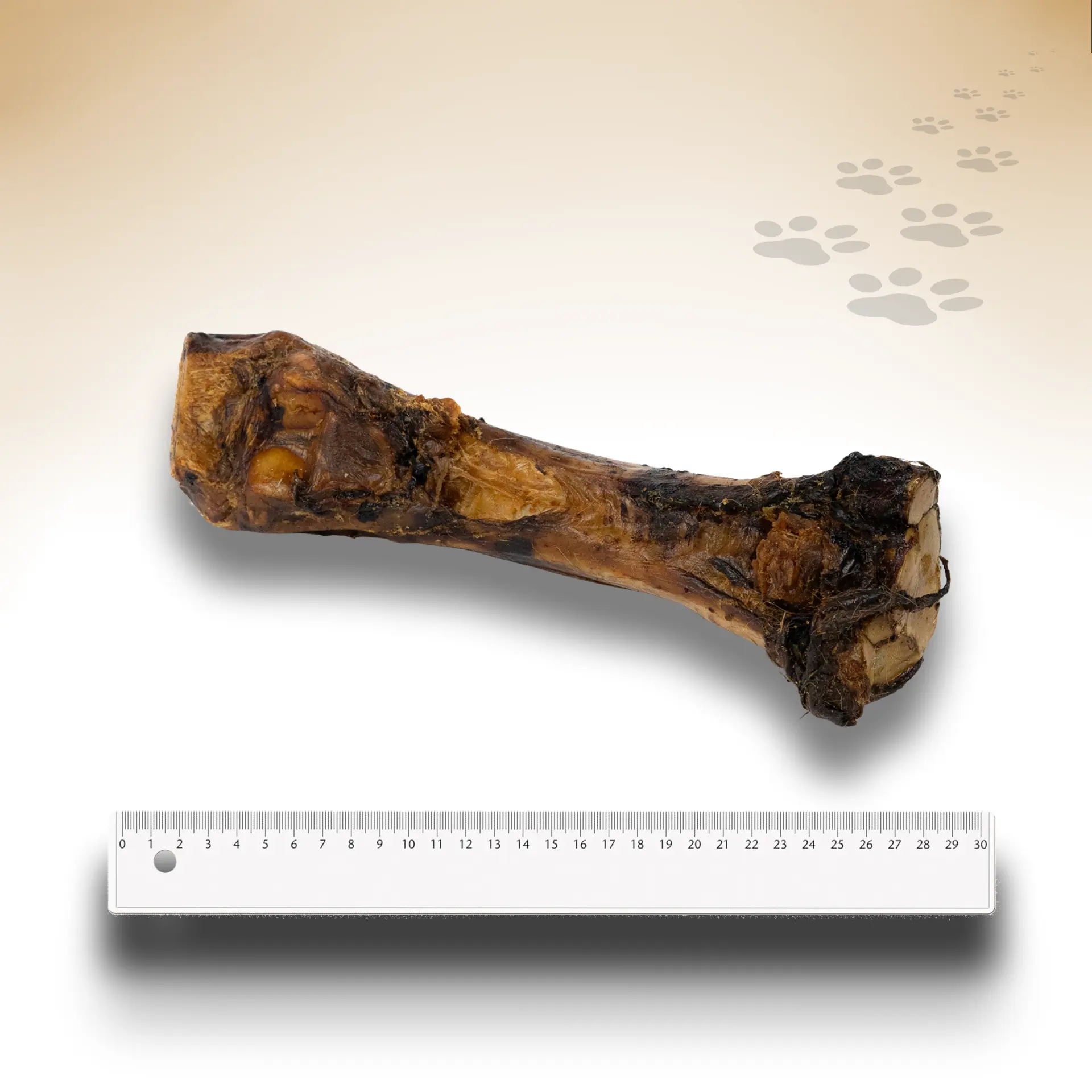 Pferde-Unterbein_75295_1920x1920_02