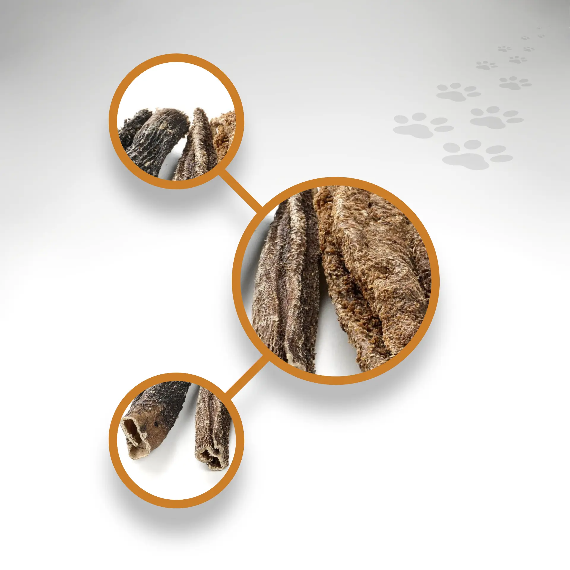 Rinder-Pansen-Kurz_97115_1920x1920_04