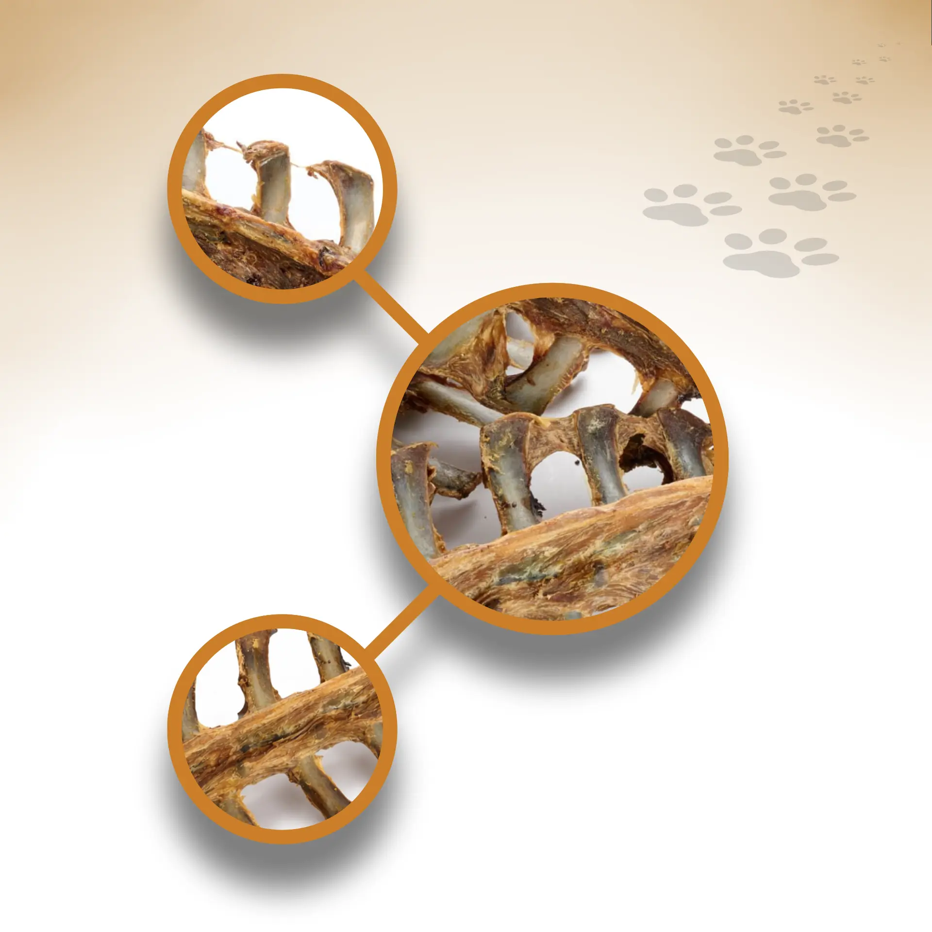 Lamm-Nackenknochen_51325_1920x1920_04 Lamm-Nackenknochen_51325_1920x1920_04