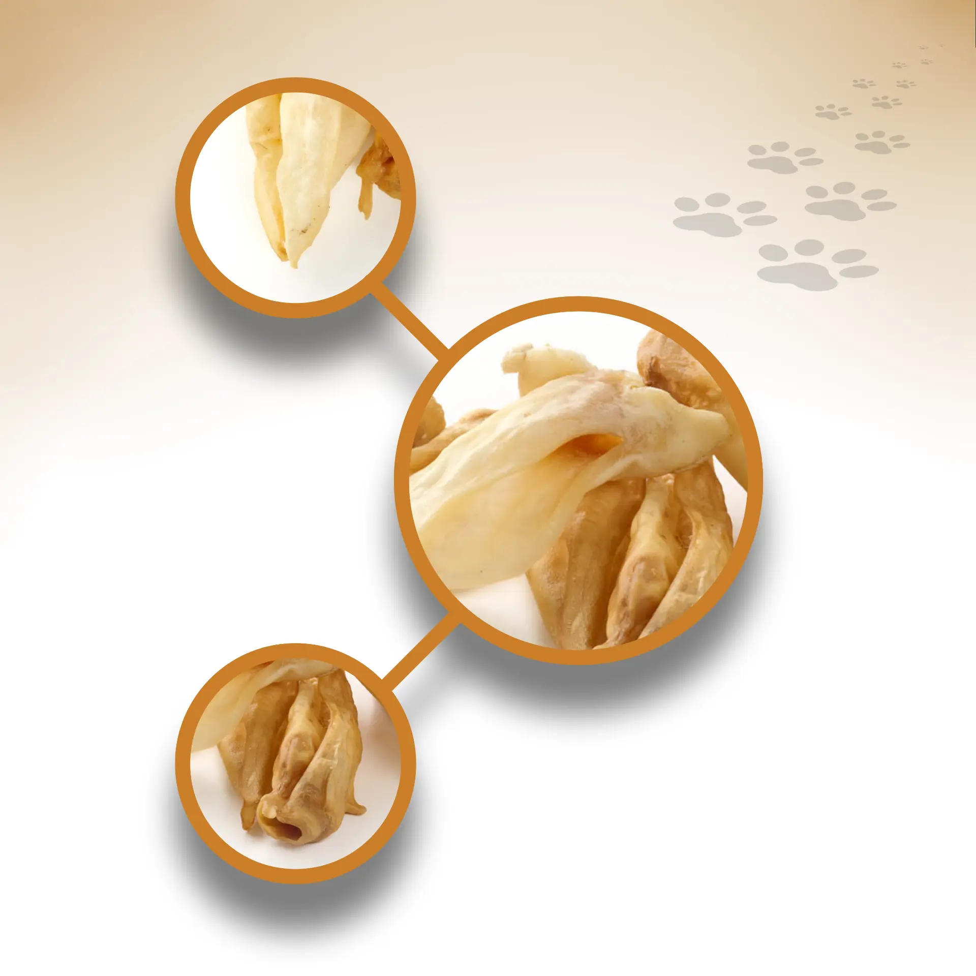 Lamm-Ohren-hell_36853_1920x1920_04 Lamm-Ohren-hell_36853_1920x1920_04