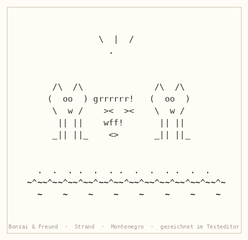 Spielverhalten bei Hunden