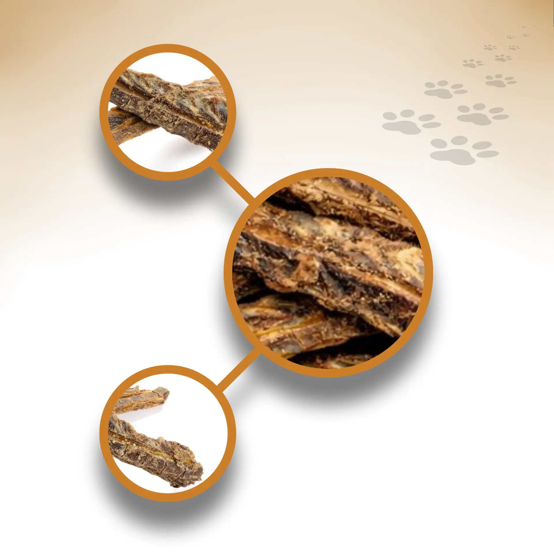 Lamm-Brustknochen_33255_1920x1920_05 Lamm-Brustknochen_33255_1920x1920_05