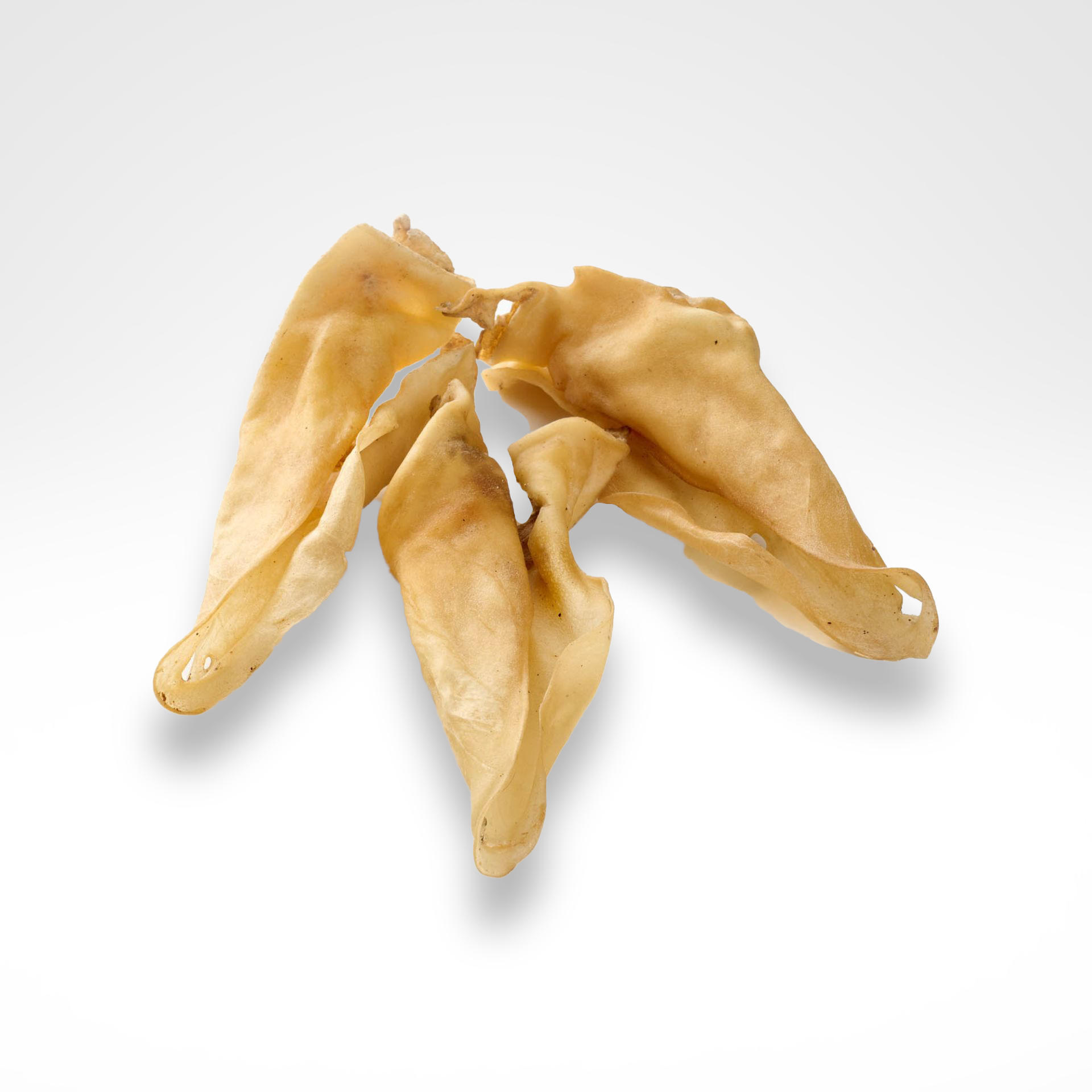 Rinderohr-weiss-01_1920x1920 Rinderohr-weiss-01_1920x1920