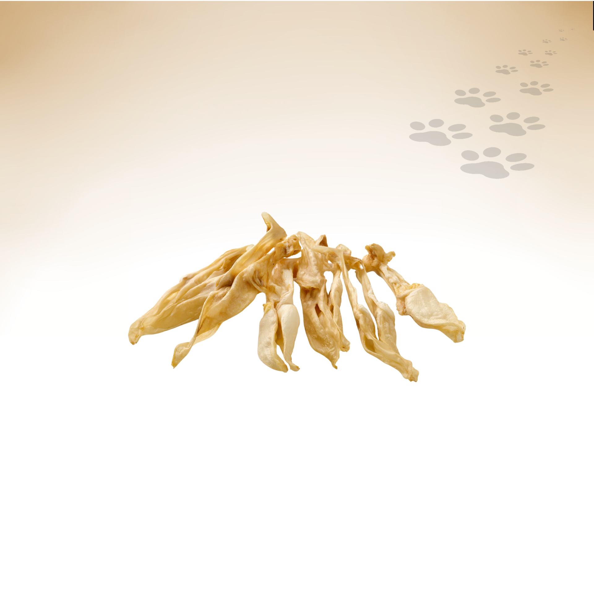 Kaninchen-Ohren_48361_1920x1920_01