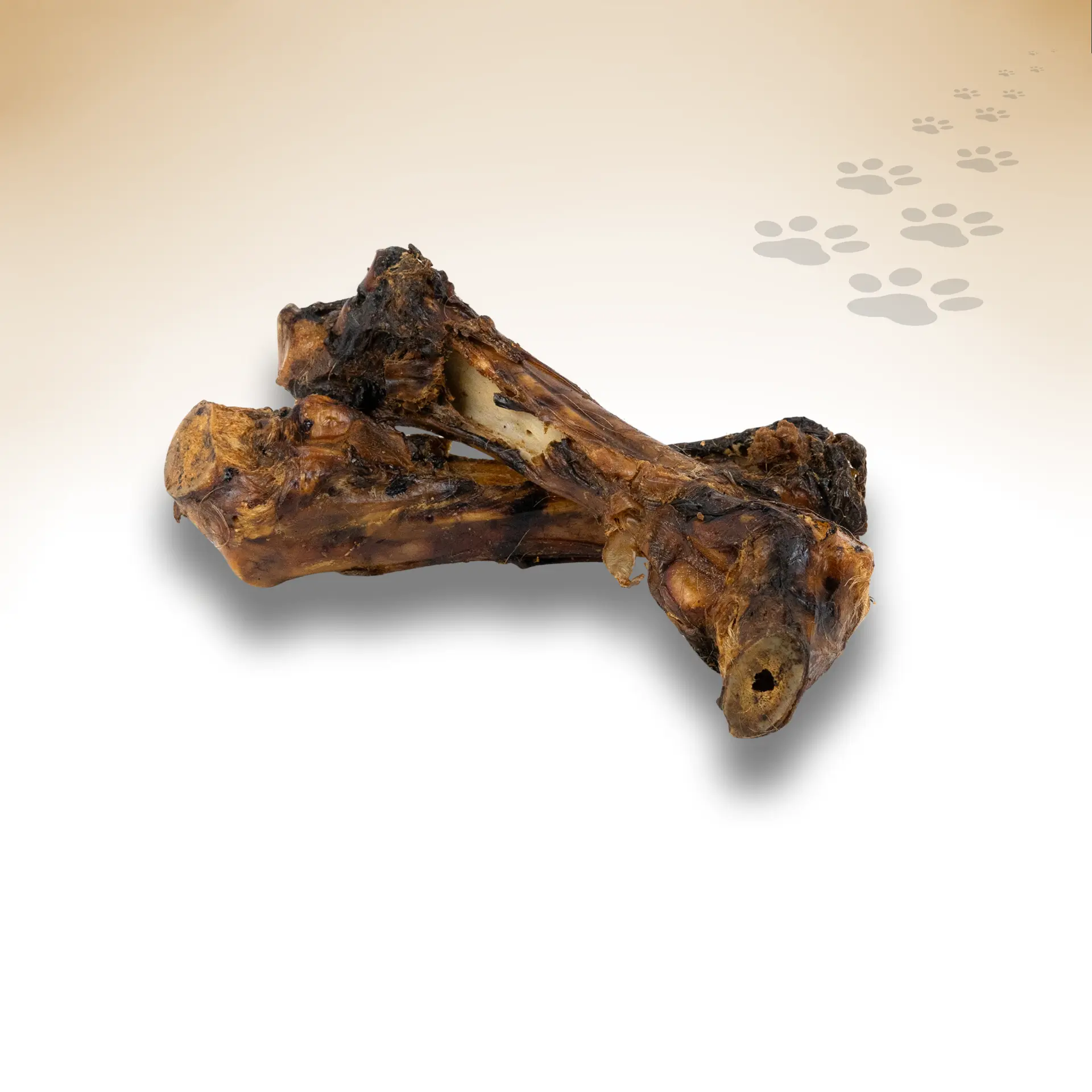 Pferde-Unterbein_75295_1920x1920_03