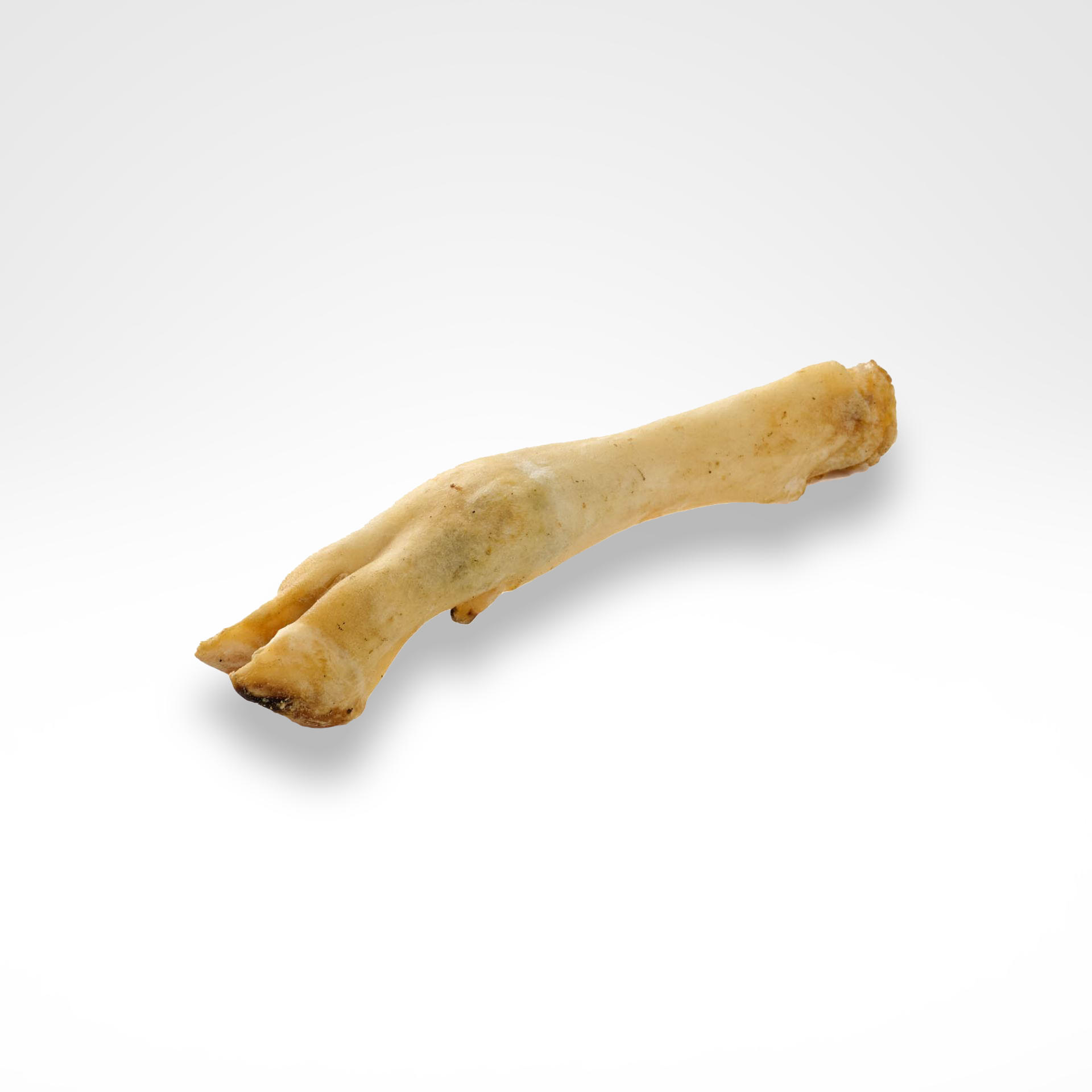 Schafsunterbein-02_1920x1920 Schafsunterbein-02_1920x1920