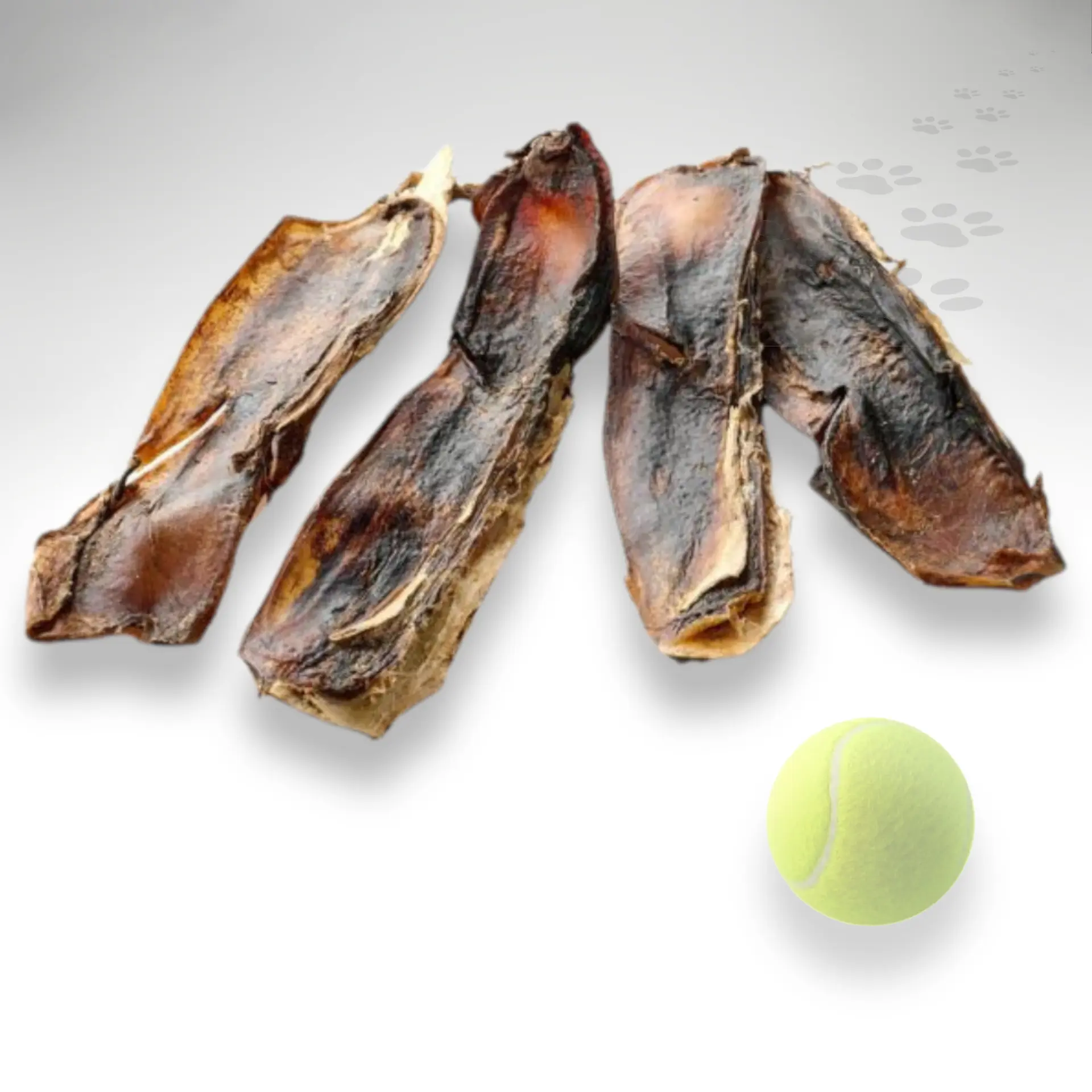 Pferde Nasenknochen Größenvergleich Pferde Nasenknochen als Kauartikel im Größenvergleich