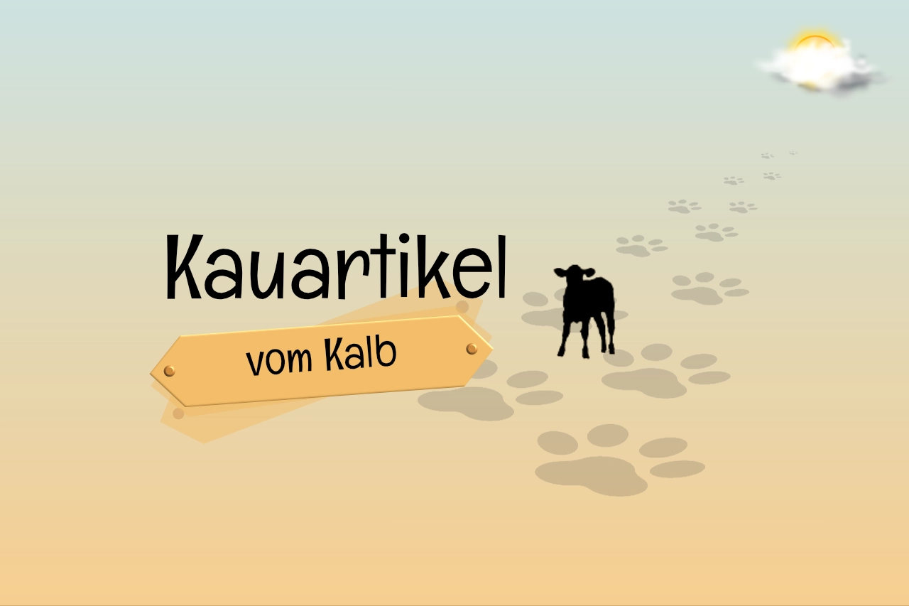 Kauartikel vom Kalb