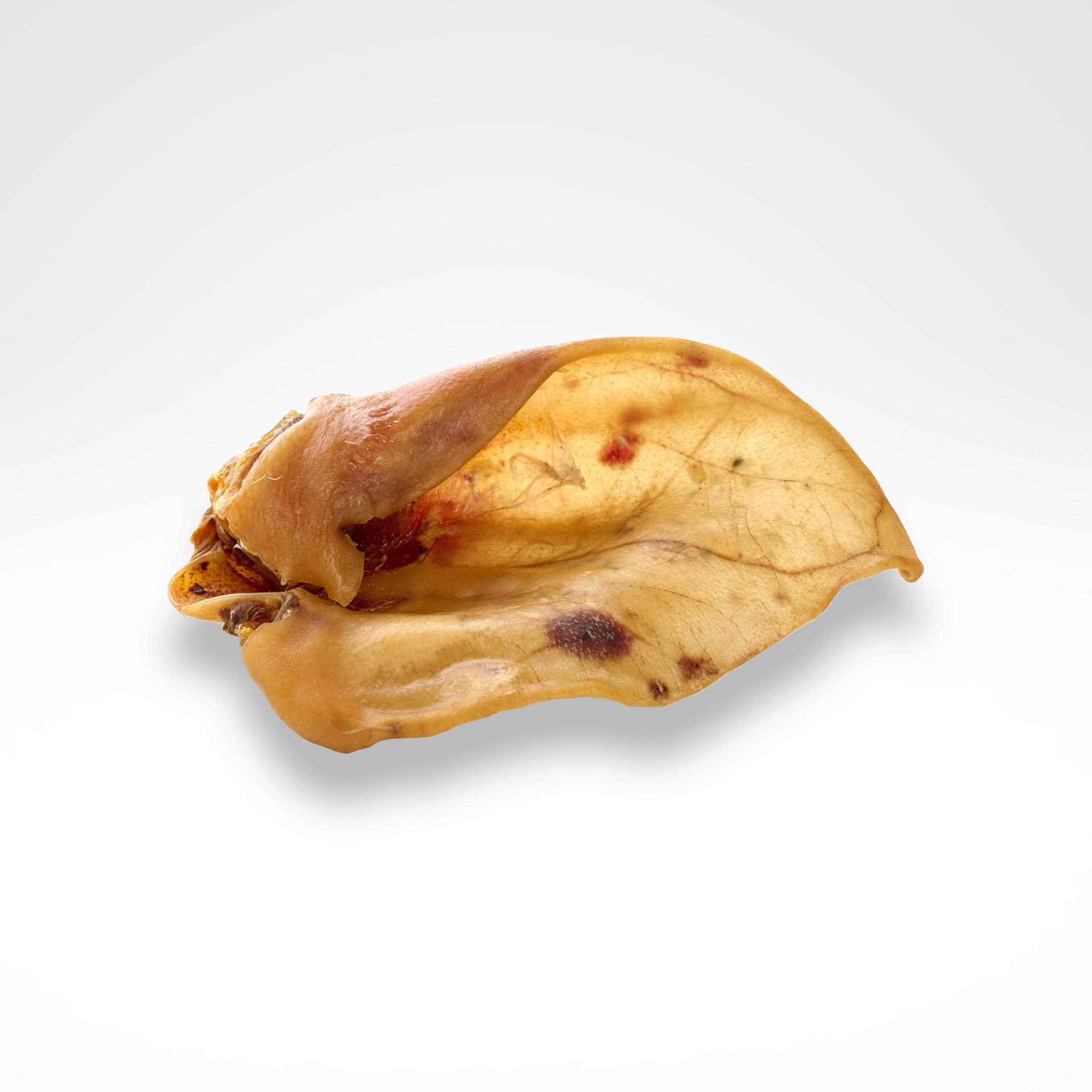 Schweineohren-XXL-02_1920x1920 Schweineohren-XXL-02_1920x1920