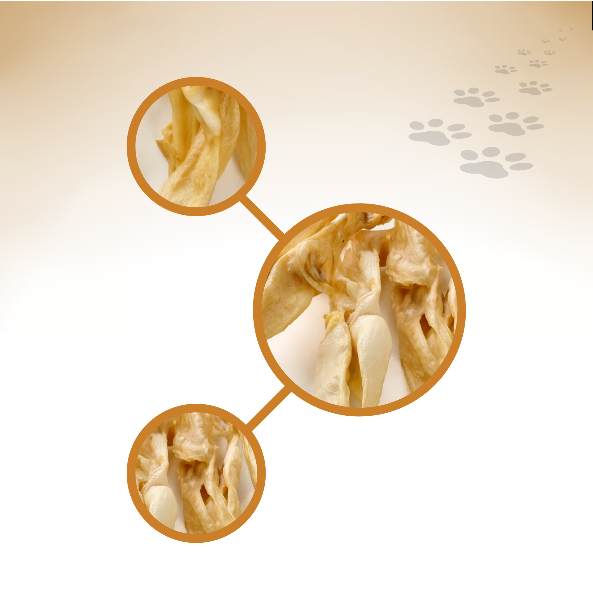 Kaninchen-Ohren_48361_1920x1920_03 Kaninchen-Ohren_48361_1920x1920_03