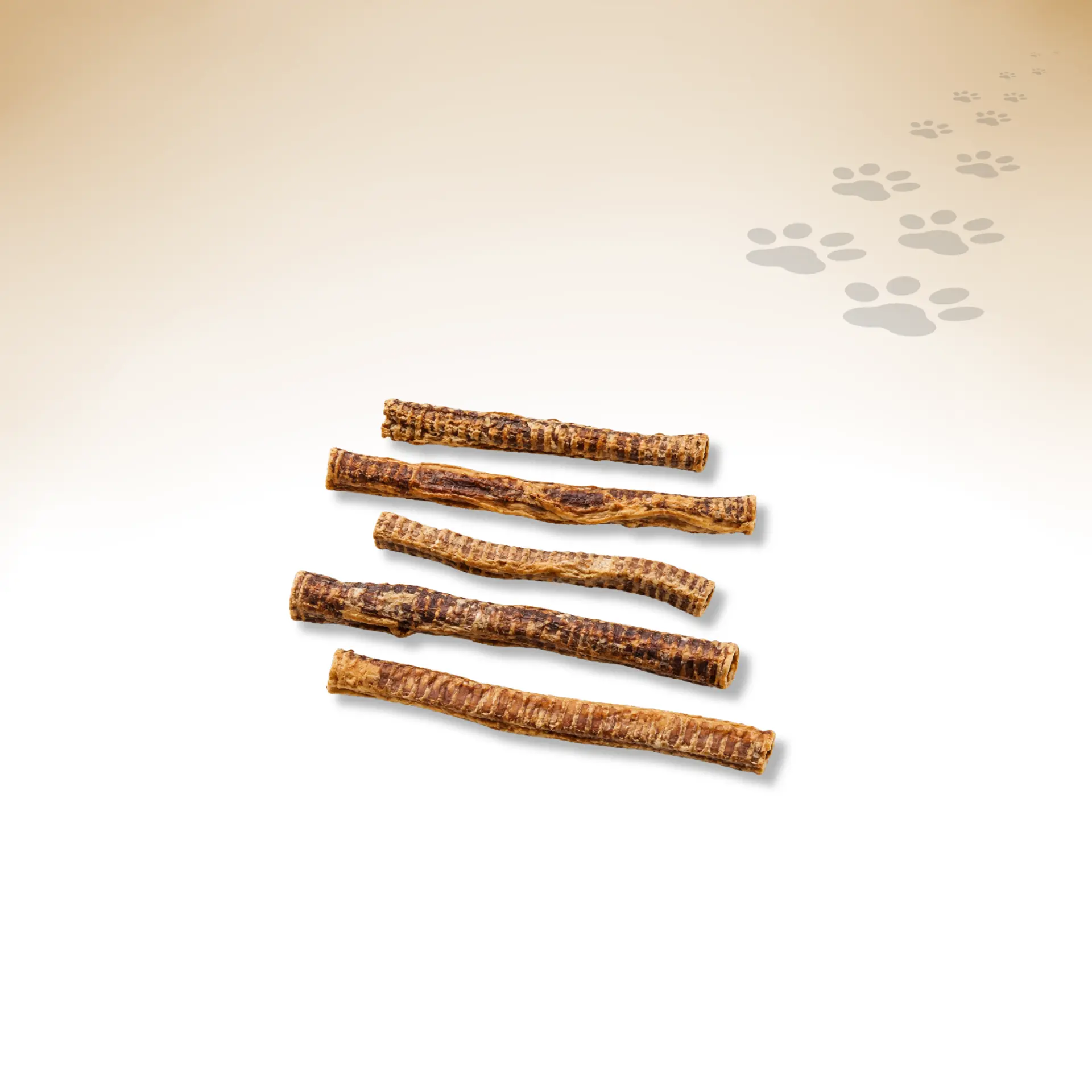 Rinder-Strossen-lang_91114_1920x1920_01 Rinder-Strossen-lang_91114_1920x1920_01