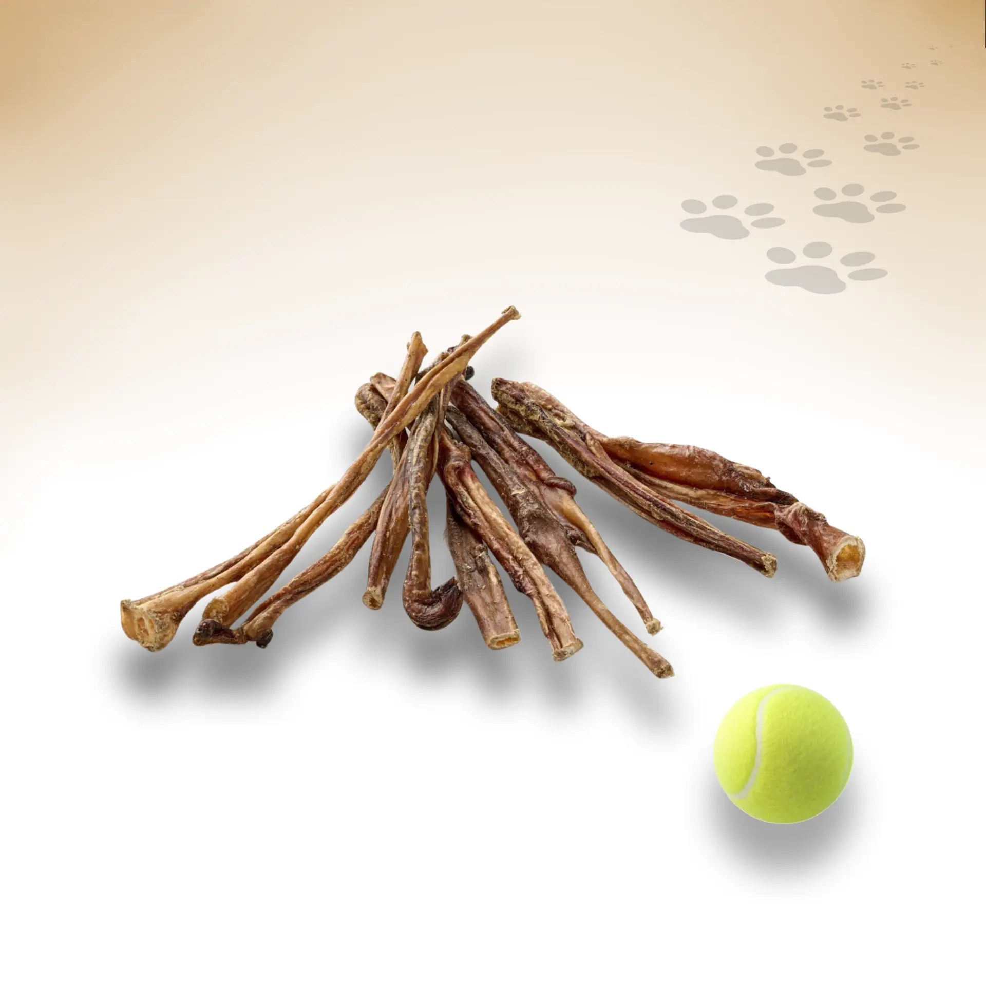 Lamm-Ziemer_32559_1920x1920_02