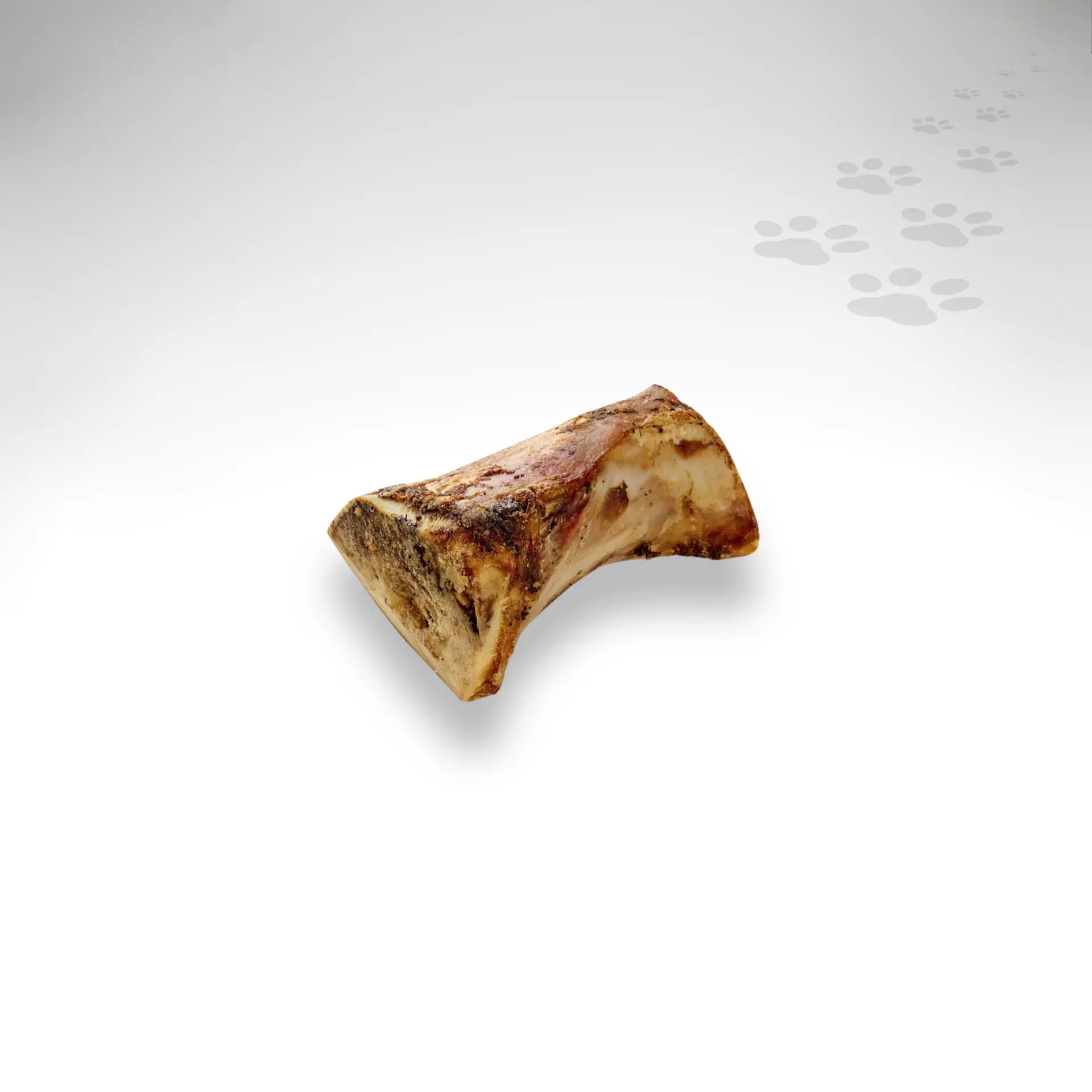 Pferde Markknochen Einzelstück Pferde Markknochen Einzelstück