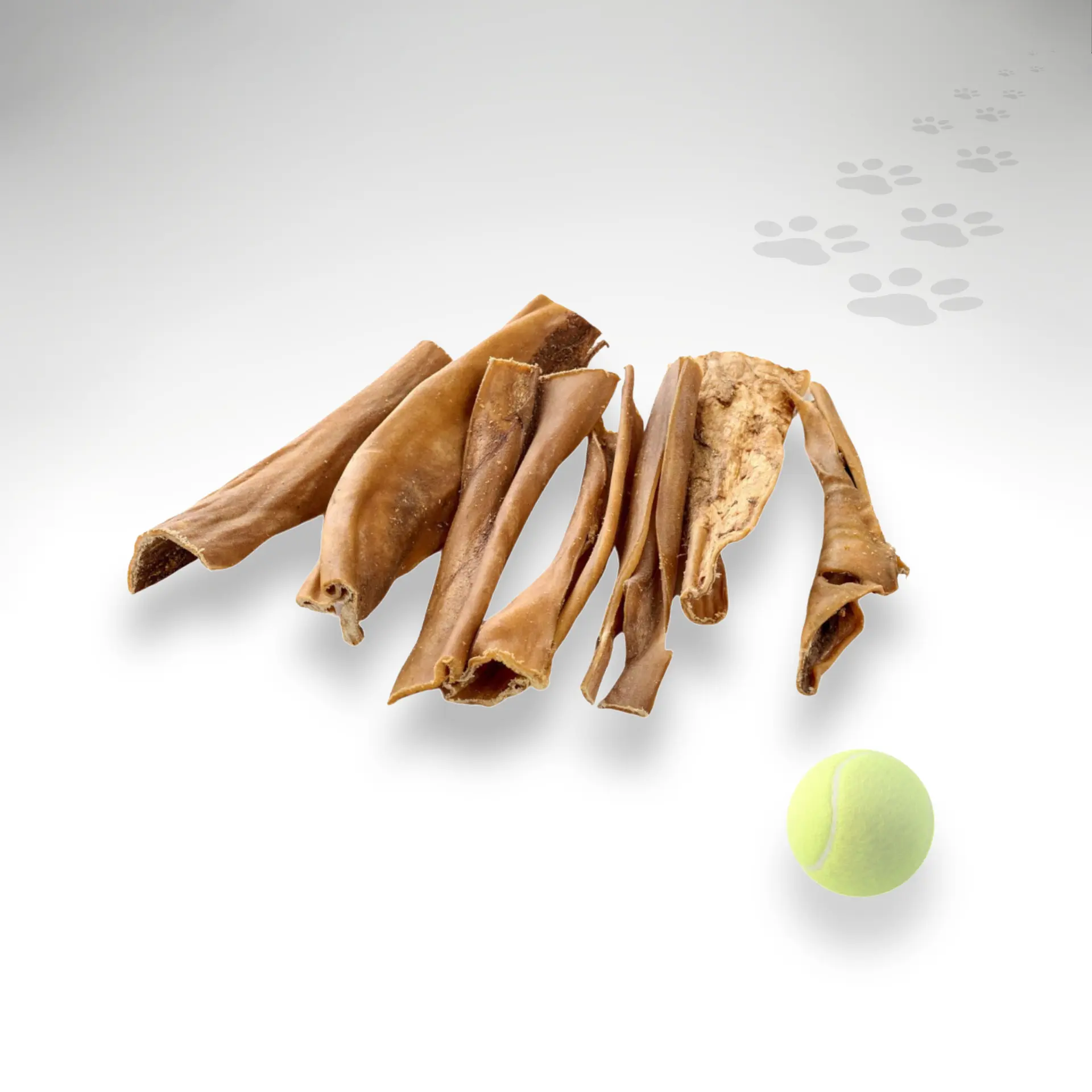 Gerollte Pferdehaut Pferdehaut gerollt und getrocknet