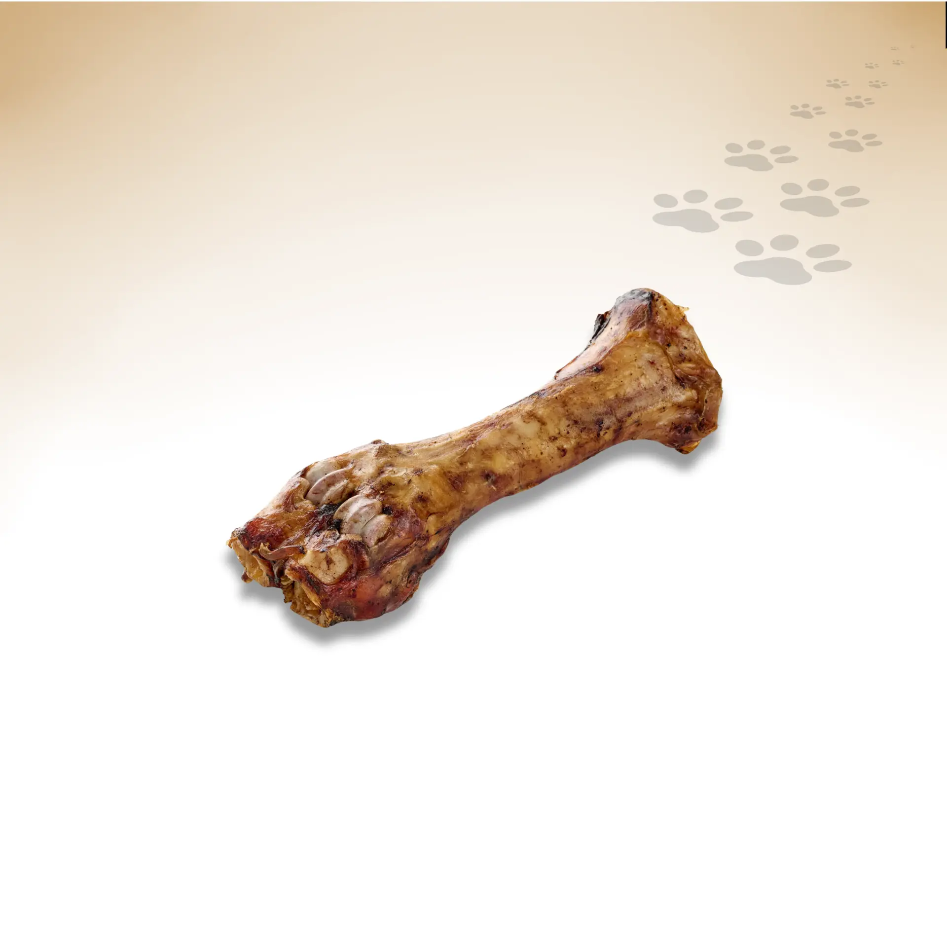Rinder-Unterbein_35259_1920x1920_01 Rinder-Unterbein_35259_1920x1920_01