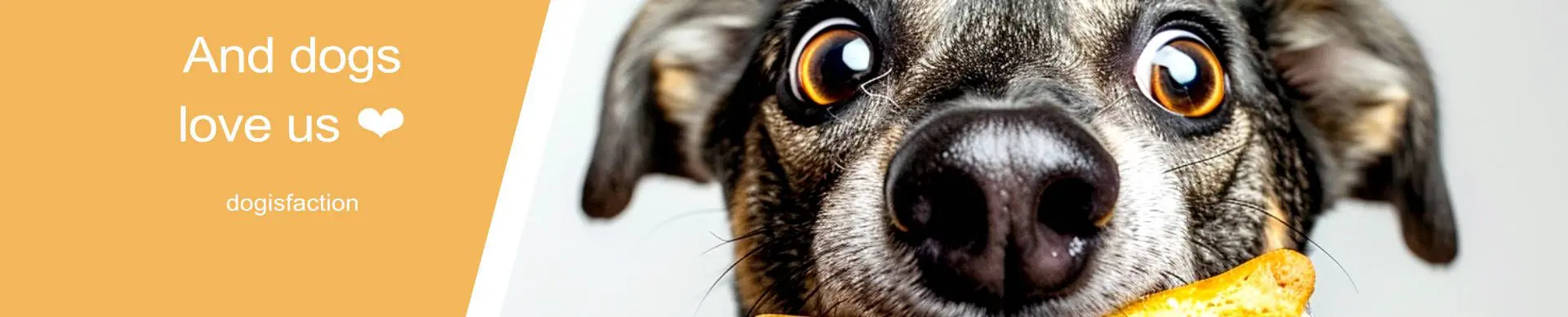 Banner dogs love us Banner neugierig kuckender Hund - Dogs love us