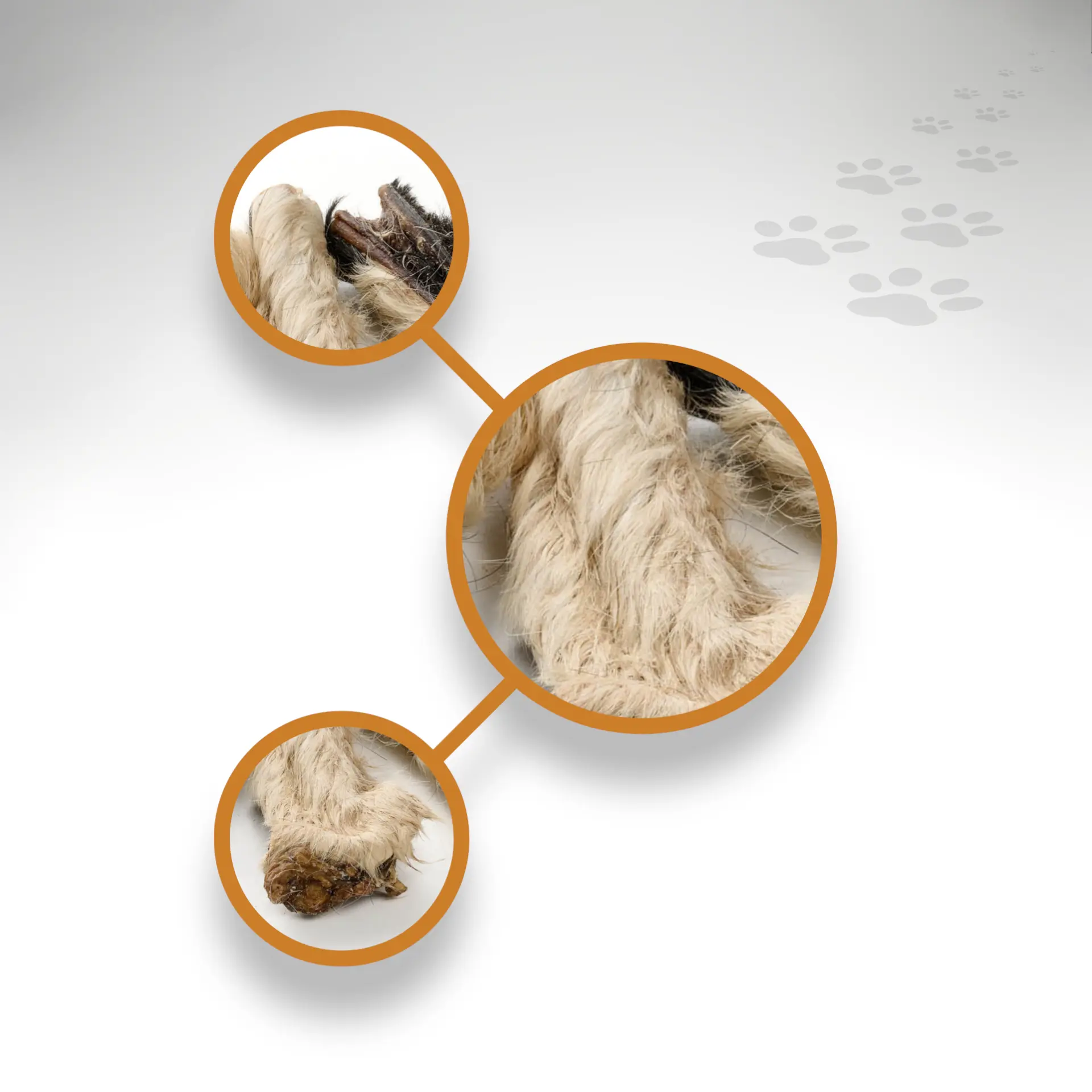 Rinder-Fellstreifen_kurz_96178_1920x1920_03 Rinder-Fellstreifen_kurz_96178_1920x1920_03