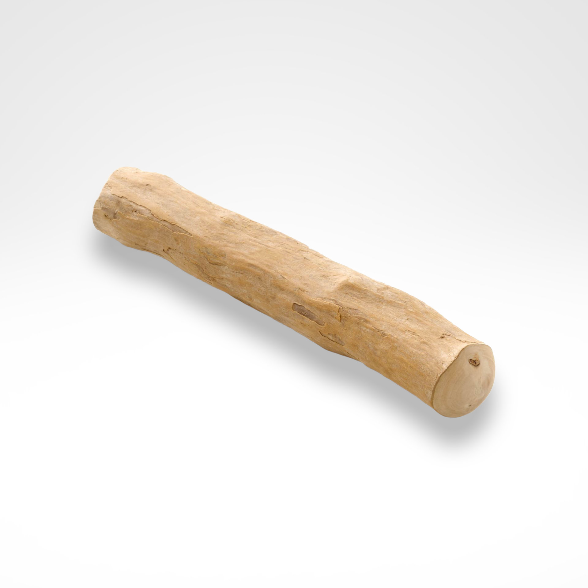 Hunde Kaustab von der Baumheidewurzel Hunde Kaustab von der Baumheidewurzel