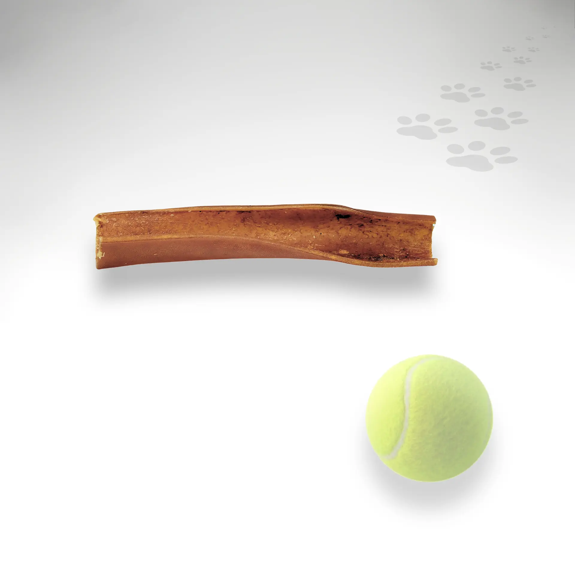 Pferdehaut gerollt Einzelstück Pferdehaut gerollt und getrocknet als Einzelstück mit Größenorientierung