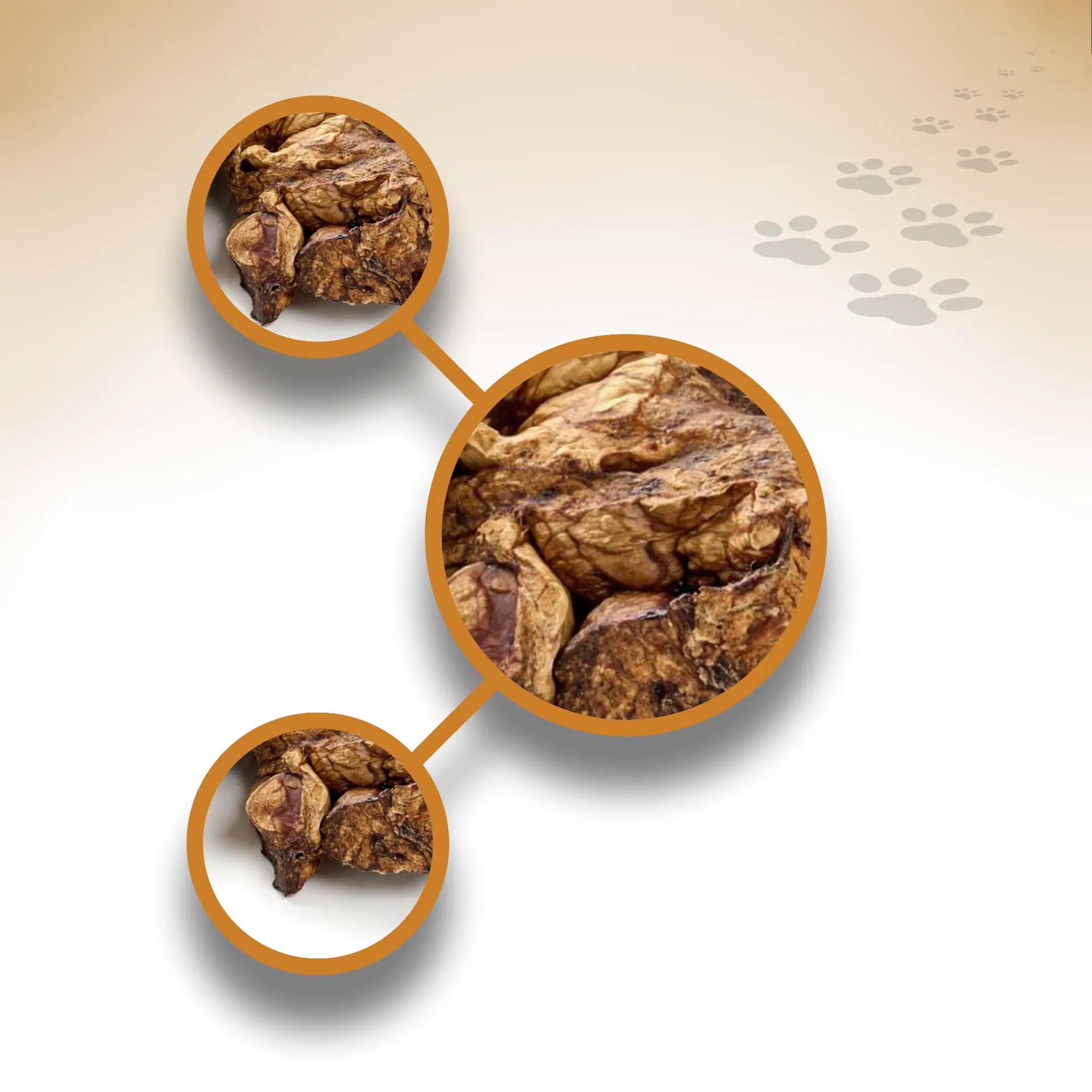 93755_Rinder-Lunge_1920x1920_03