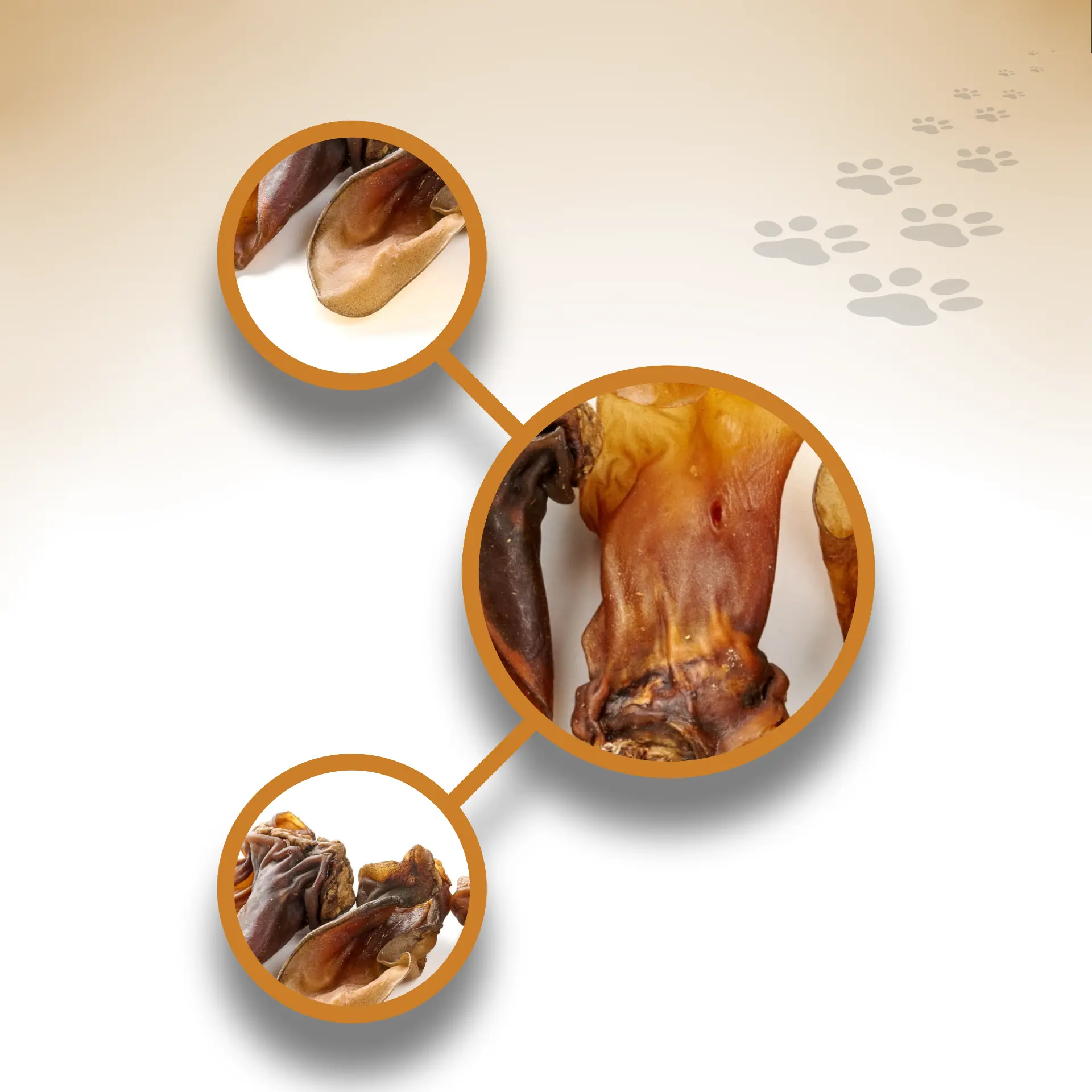 Lamm-Ohren_36895_1920x1920_04 Lamm-Ohren_36895_1920x1920_04