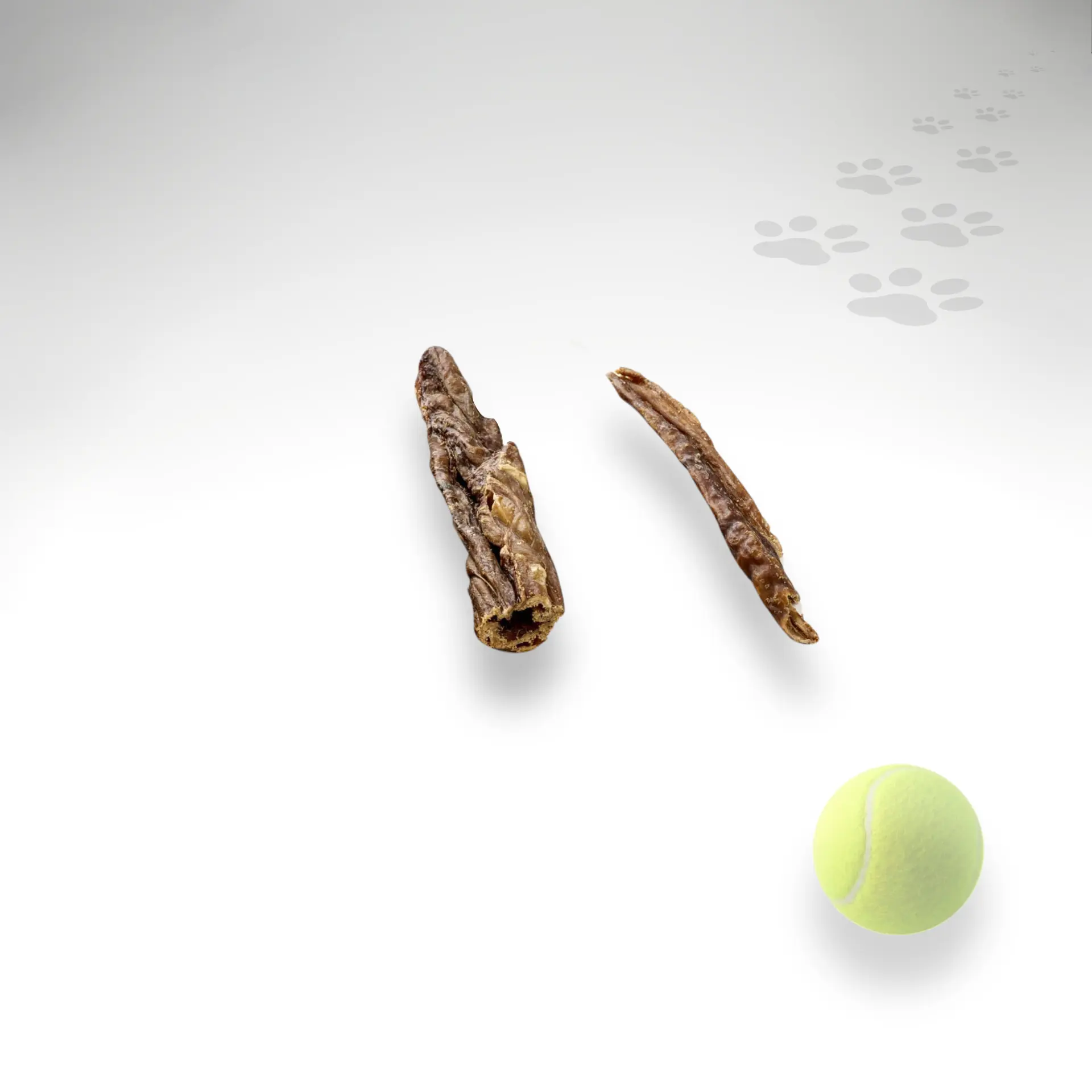 Pferde Darmstangen Größenvergleich Darmstangen vom Pferd mit Größenvergleich