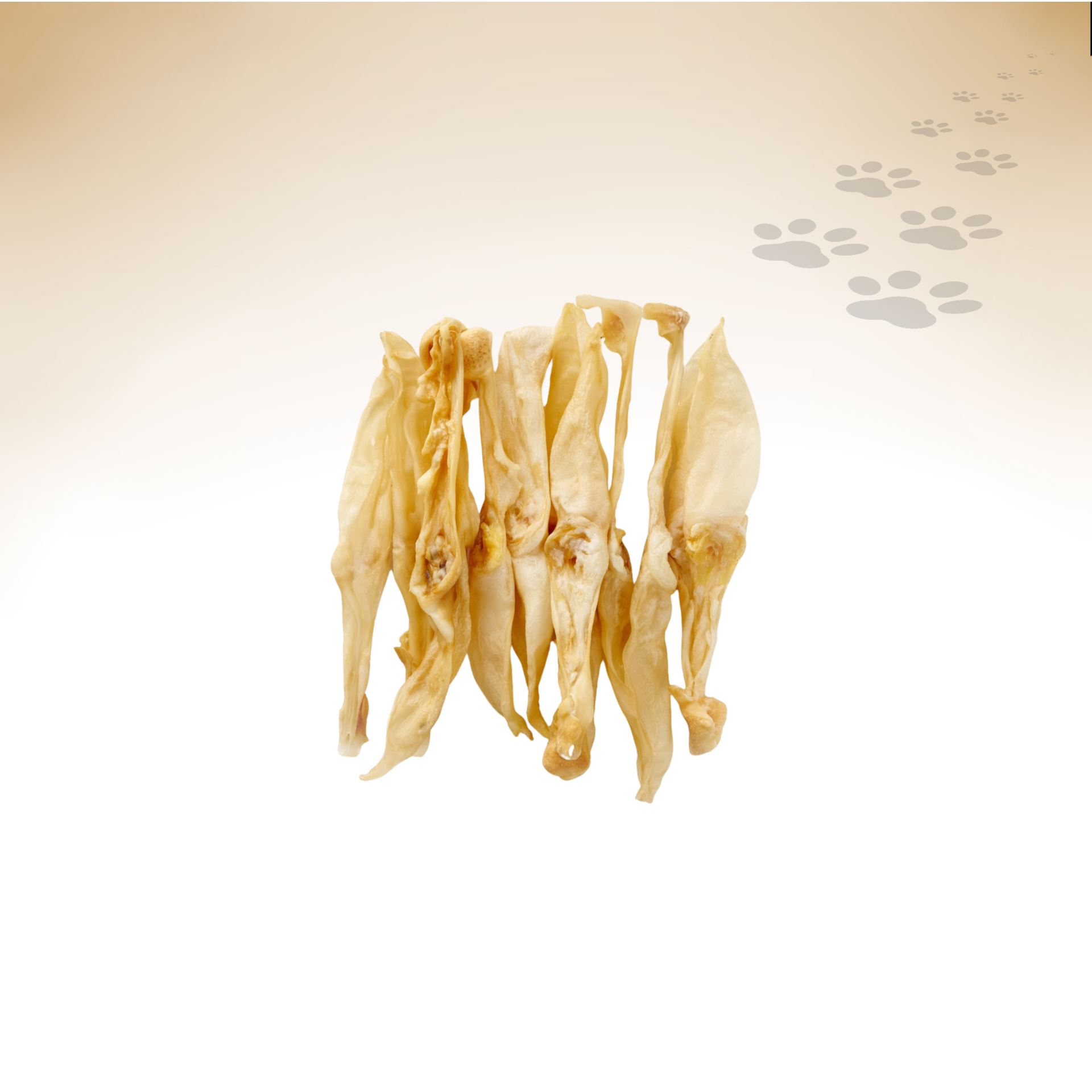 Kaninchen-Ohren_48361_1920x1920_02 Kaninchen-Ohren_48361_1920x1920_02