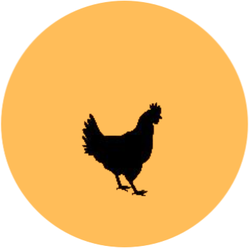 Huhn