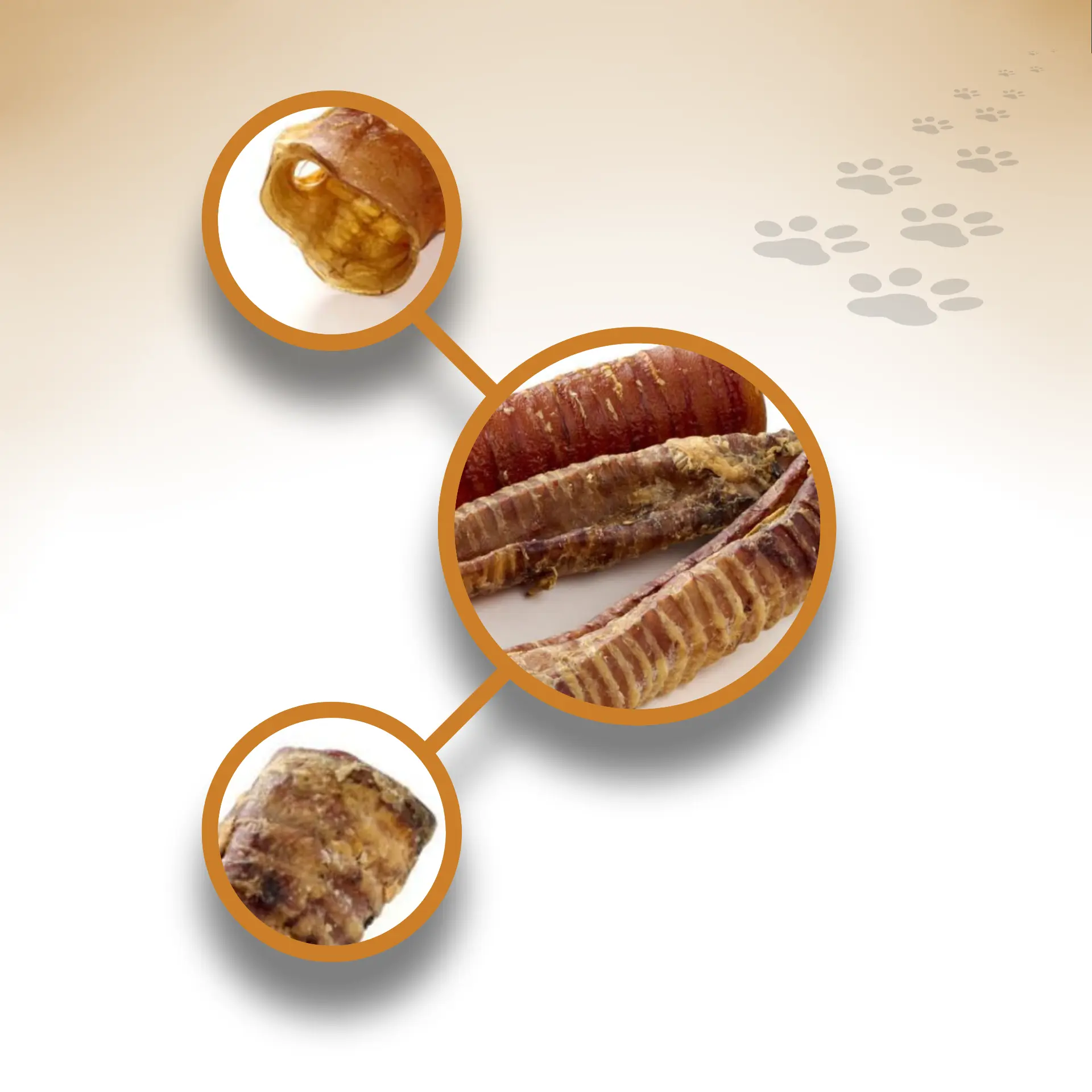 Pferdestrossen-kurz_71112_1920x1920_04 Pferdestrossen-kurz_71112_1920x1920_04