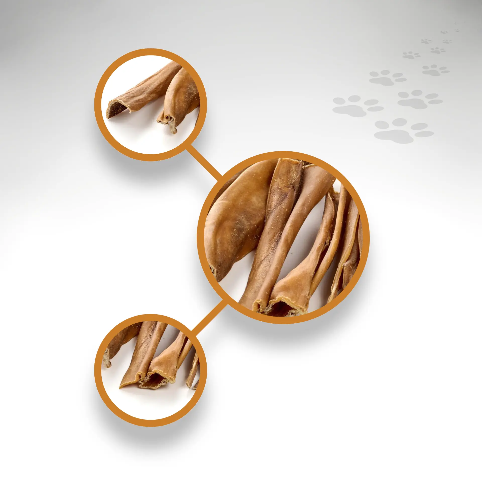 Pferdehaut gerollt Detailansichten Verschiedene Detailansichten gerollter und getrockneter Pferdehaut