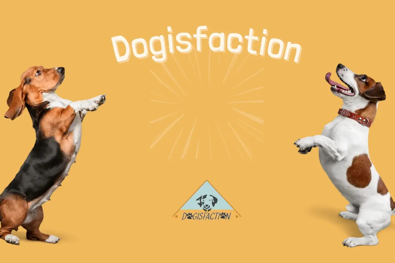 Ohne chemische Zusätze