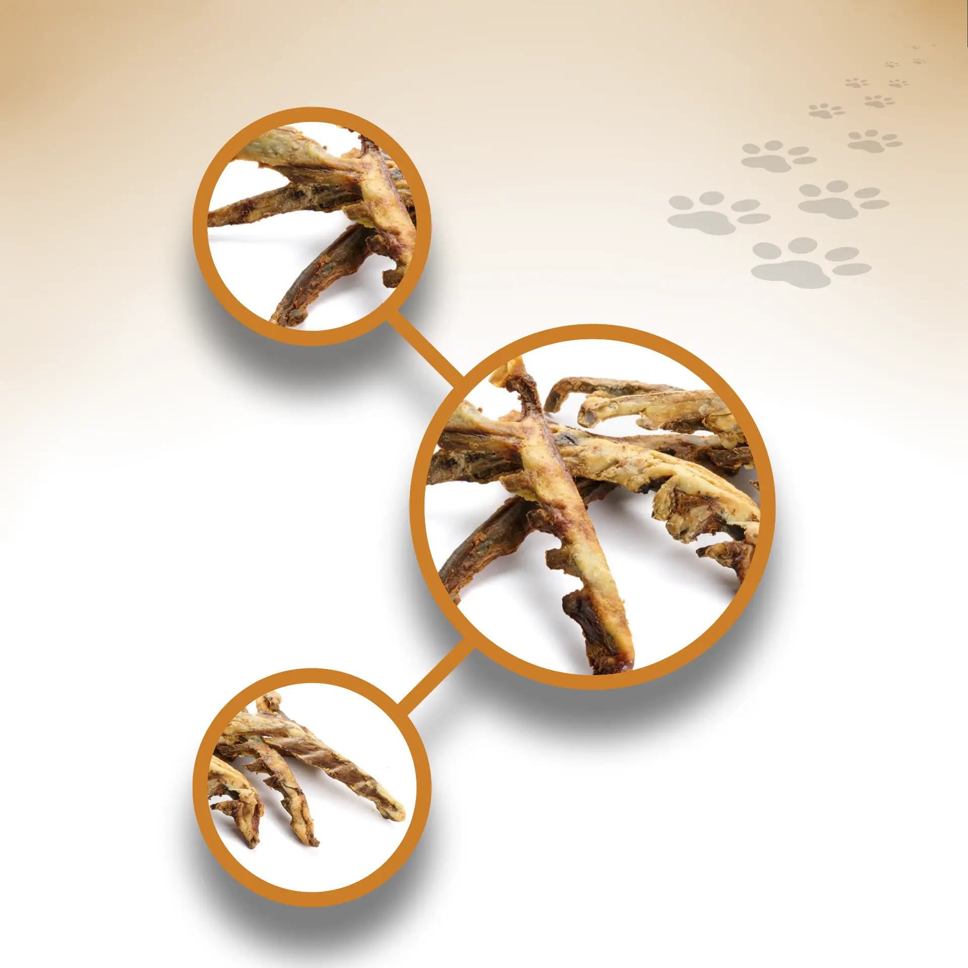 Lamm-Rippen-Endknochen_39977_1920x1920_04