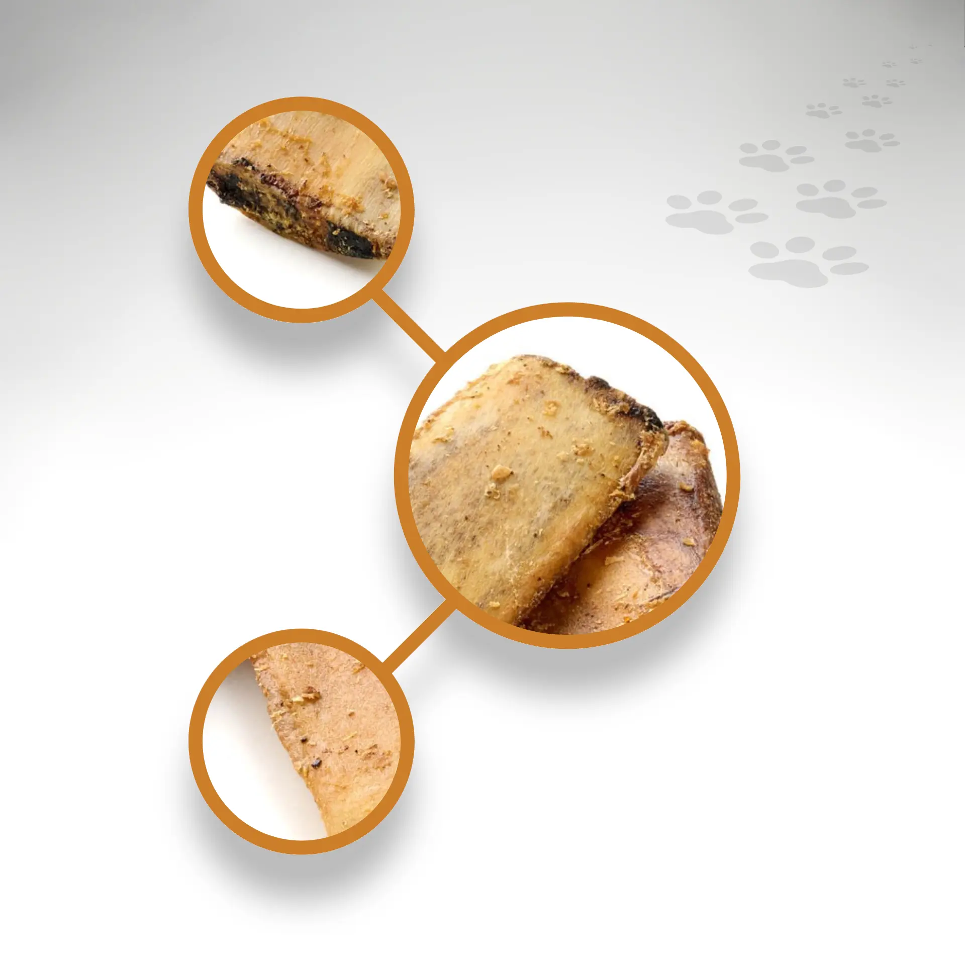 Pferderippen Detailansichten Detailansichten Rippen vom Pferd