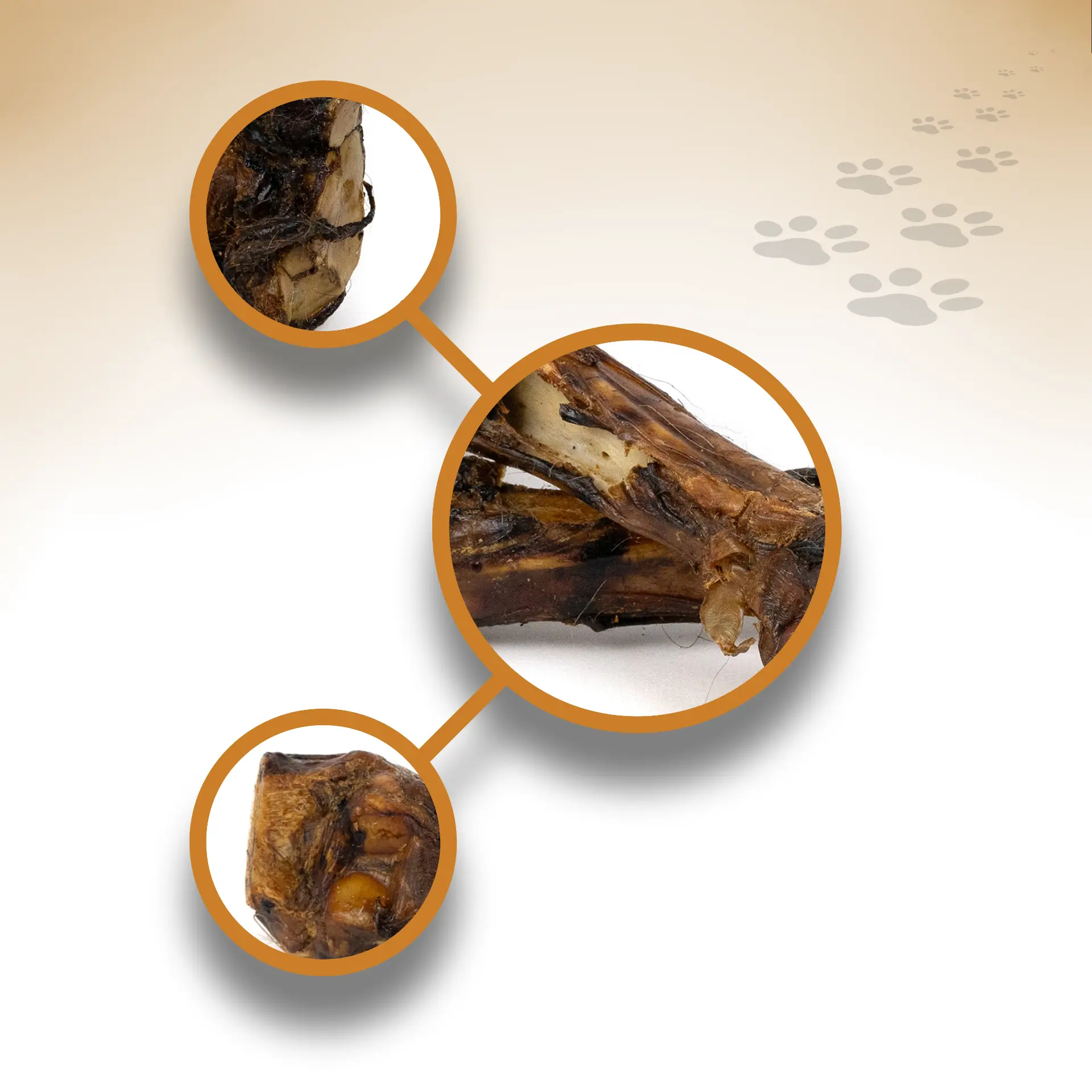 Pferde-Unterbein_75295_1920x1920_04 Pferde-Unterbein_75295_1920x1920_04