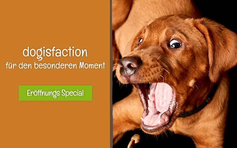 Dogisfaction - Für den besonderen Moment Dogisfaction - Für den besonderen Moment