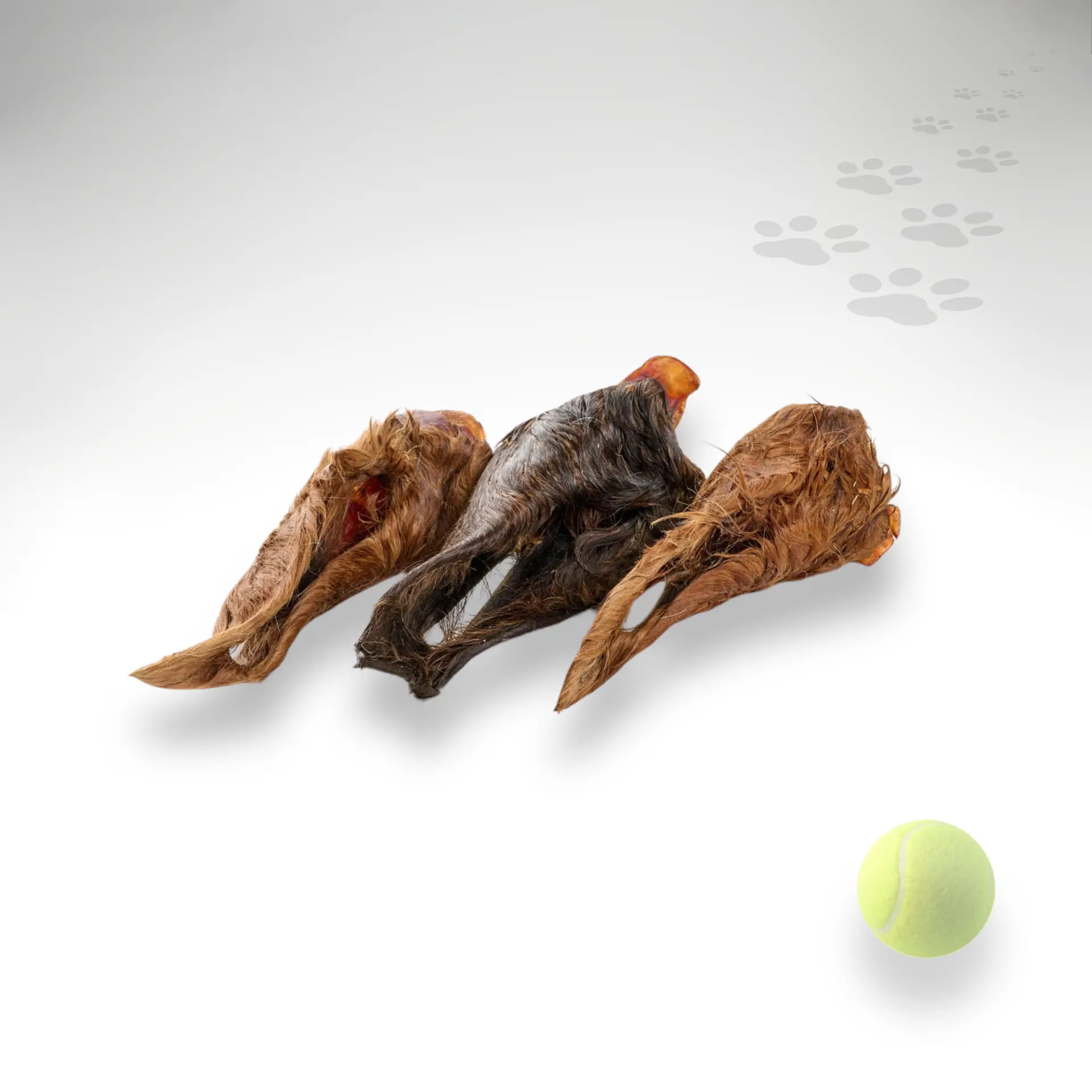 Pferdeohren mit Fell Größenorientierung Pferdeohren mit Fell