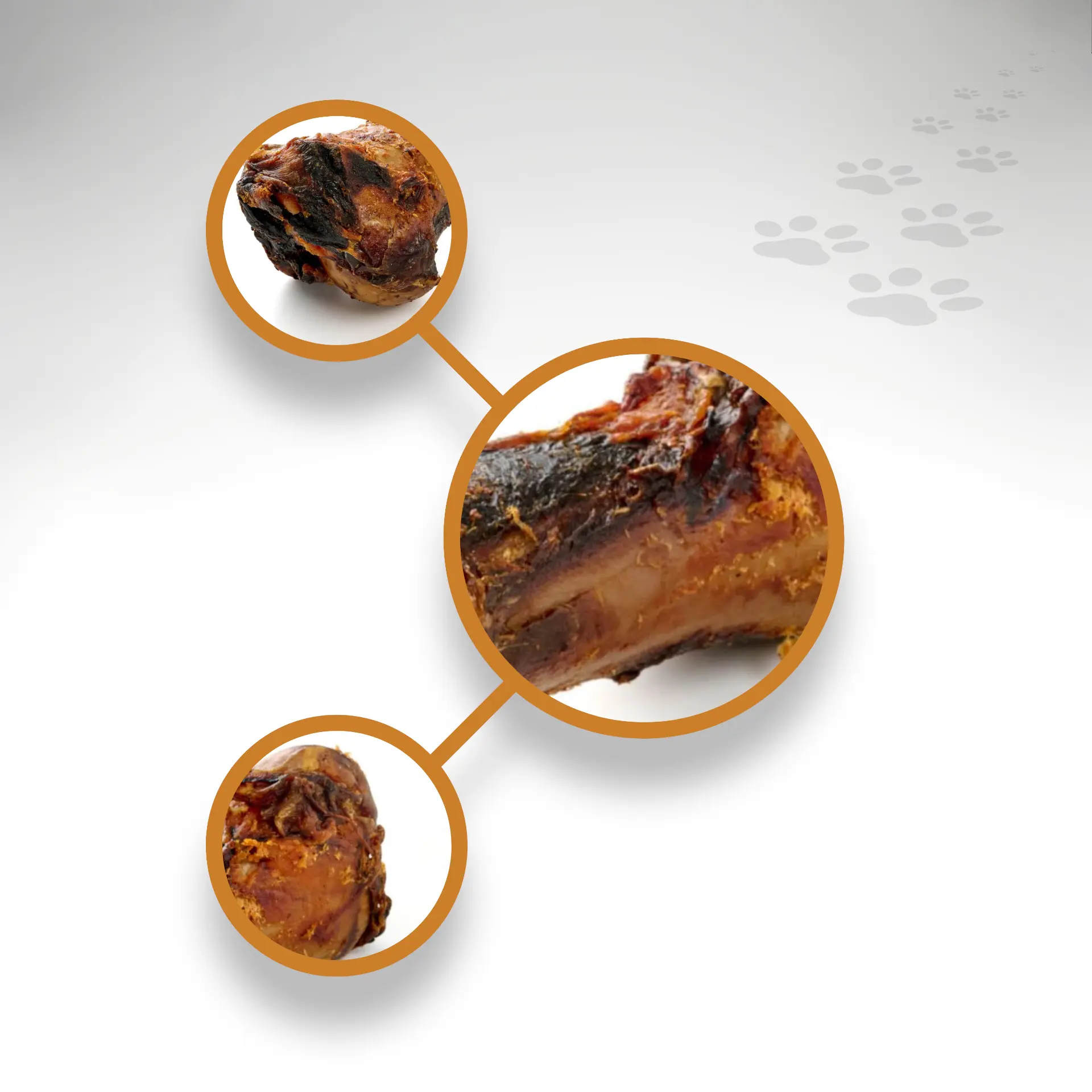 Pferde Jumboknochen XXL Detailansicht XXL Jumboknochen vom Pferd in Detailansichten