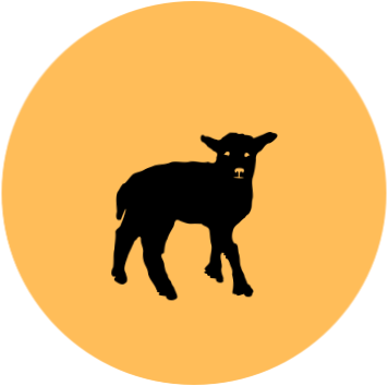 Lamm