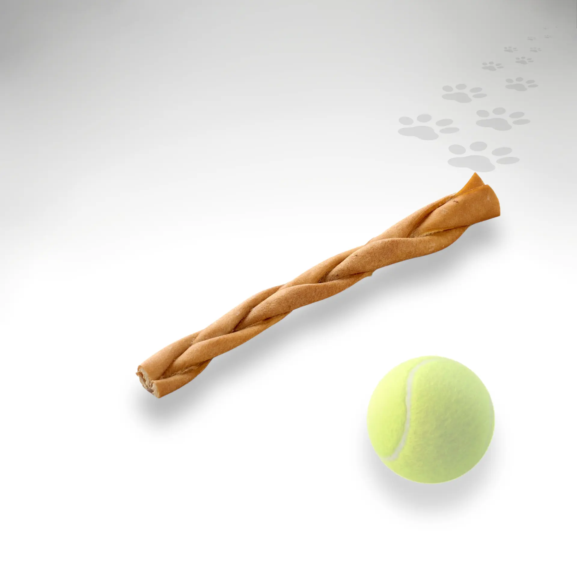 Pferdezopf EInzelstück Einzelstück getrockneter Pferdezopf mit Größenvergleich