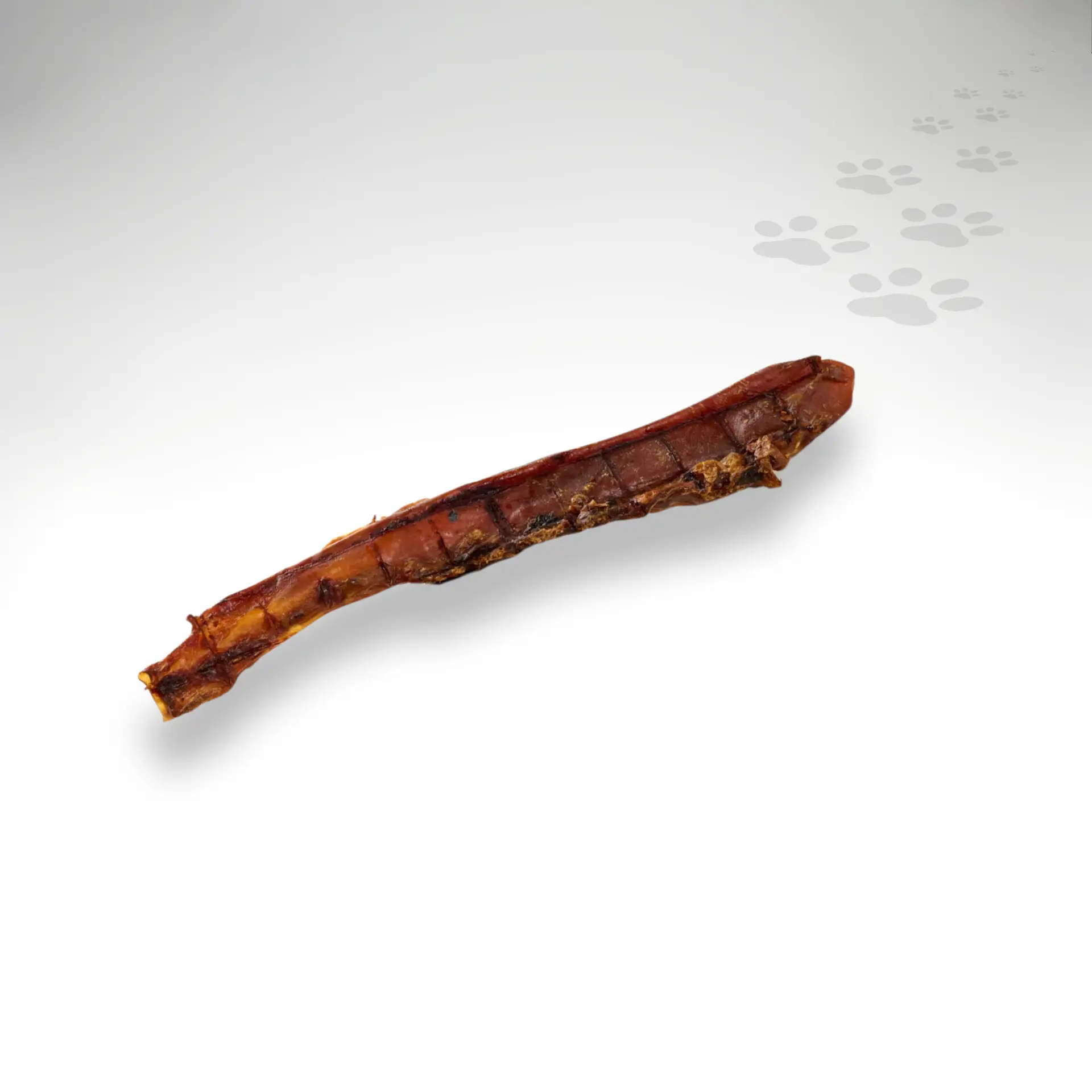 Pferdeaorta lang Aorta vom Pferd lang Einzelstück